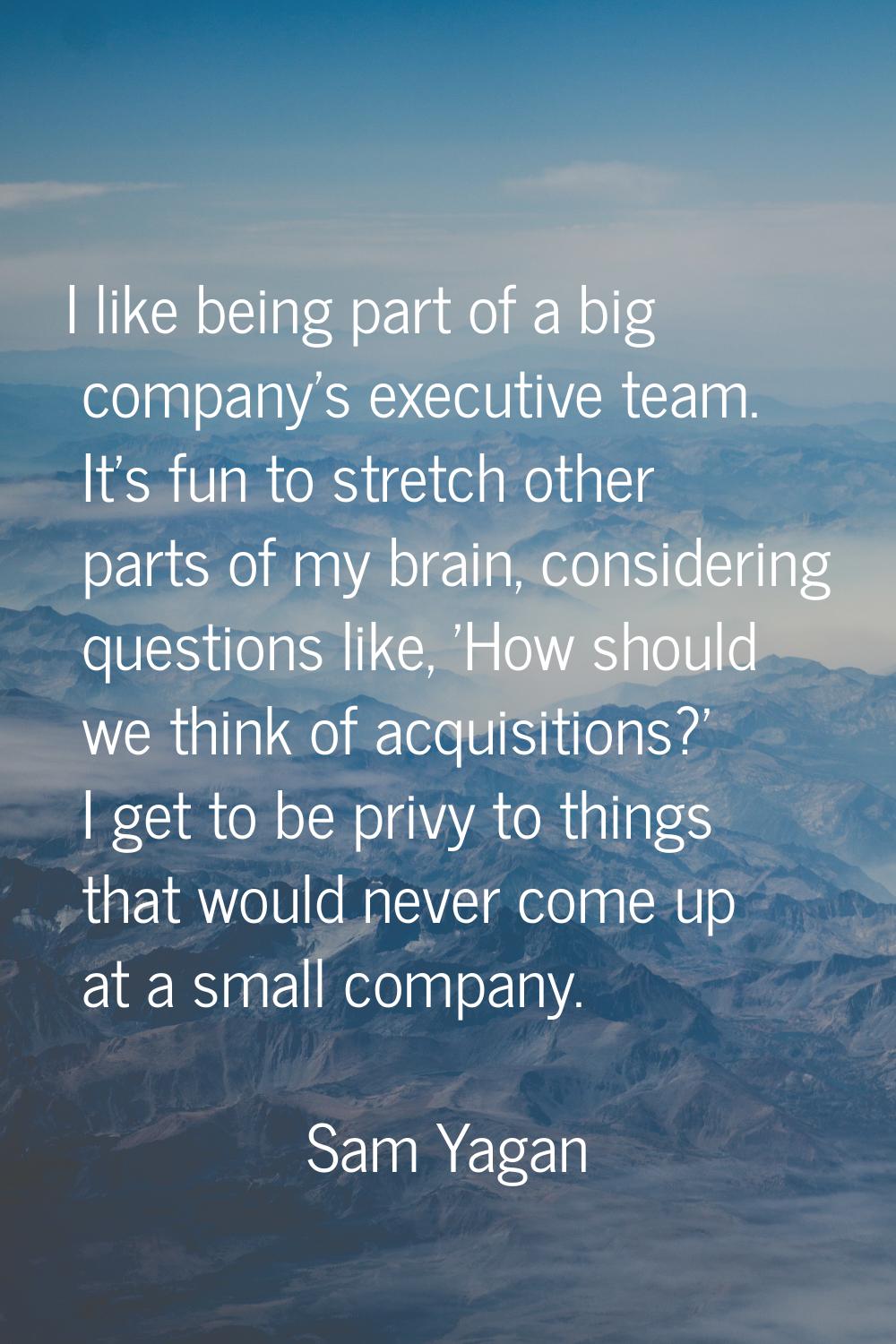 I like being part of a big company's executive team. It's fun to stretch other parts of my brain, c