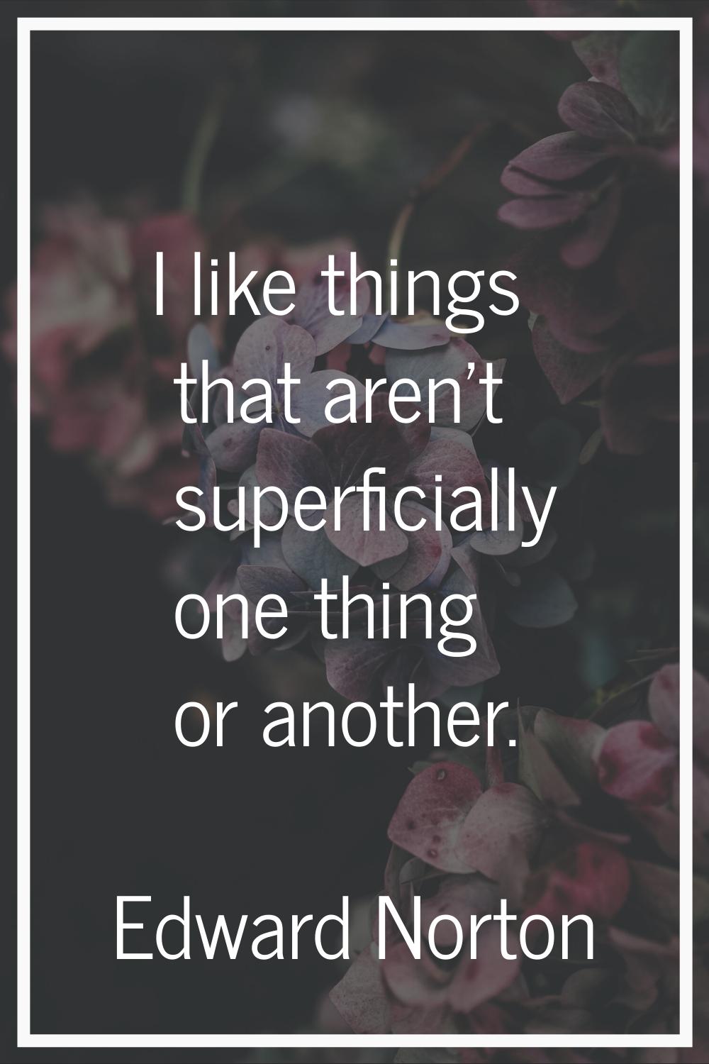 I like things that aren't superficially one thing or another.