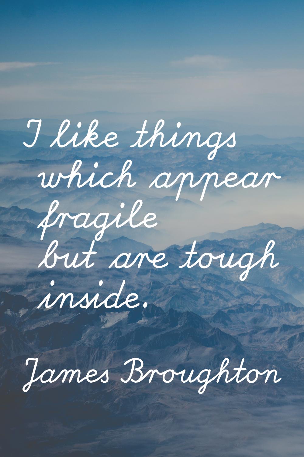 I like things which appear fragile but are tough inside.