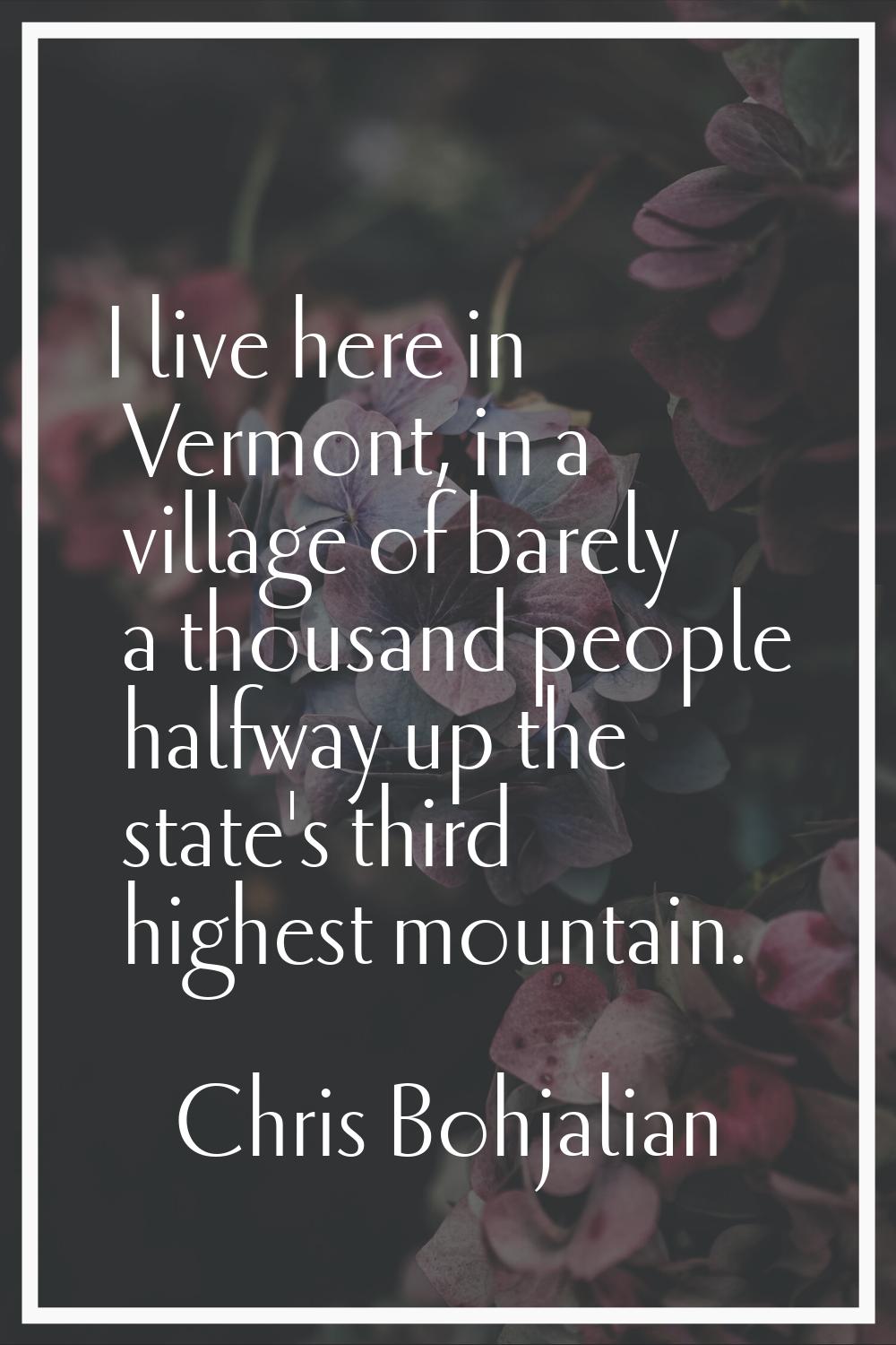 I live here in Vermont, in a village of barely a thousand people halfway up the state's third highe