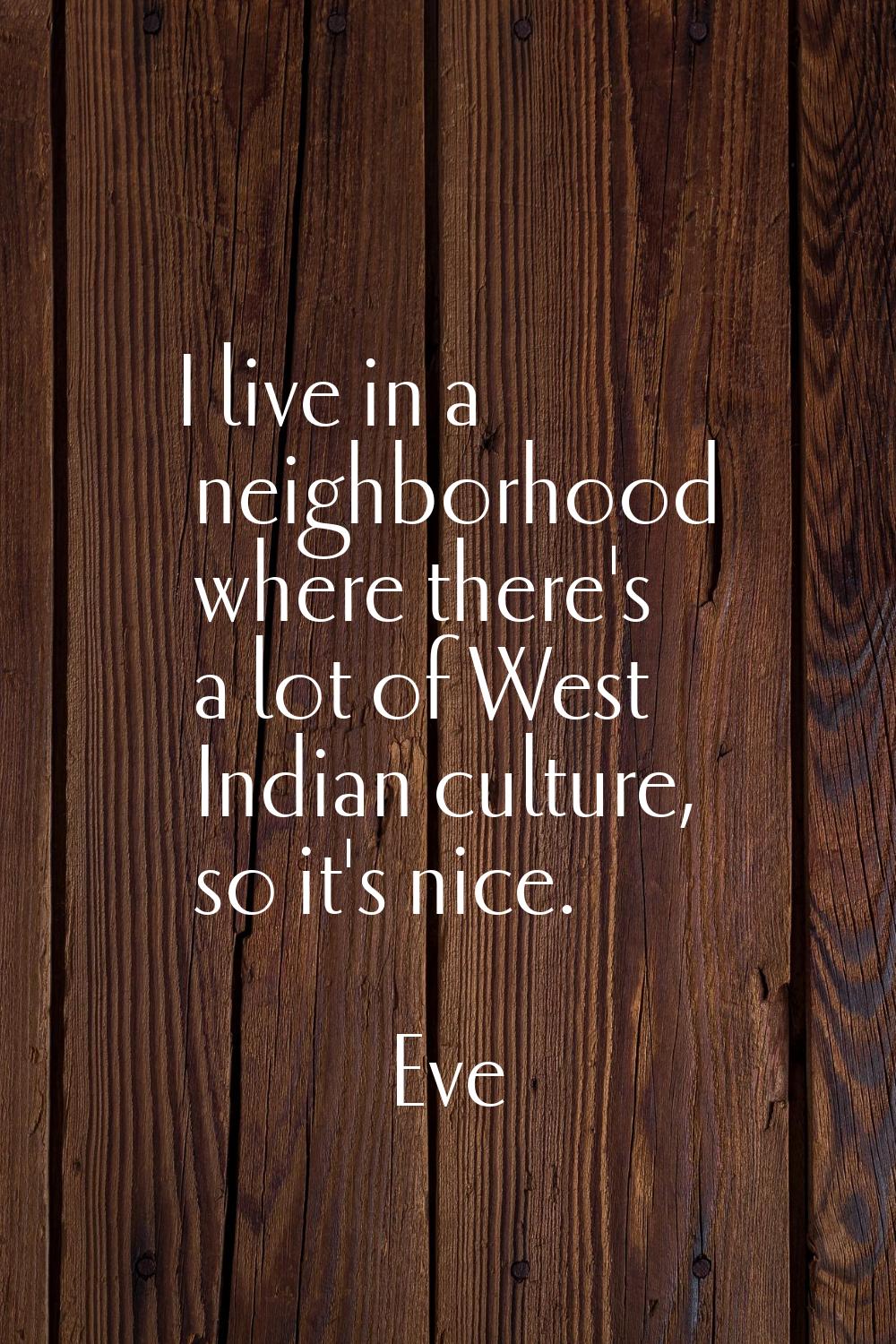 I live in a neighborhood where there's a lot of West Indian culture, so it's nice.