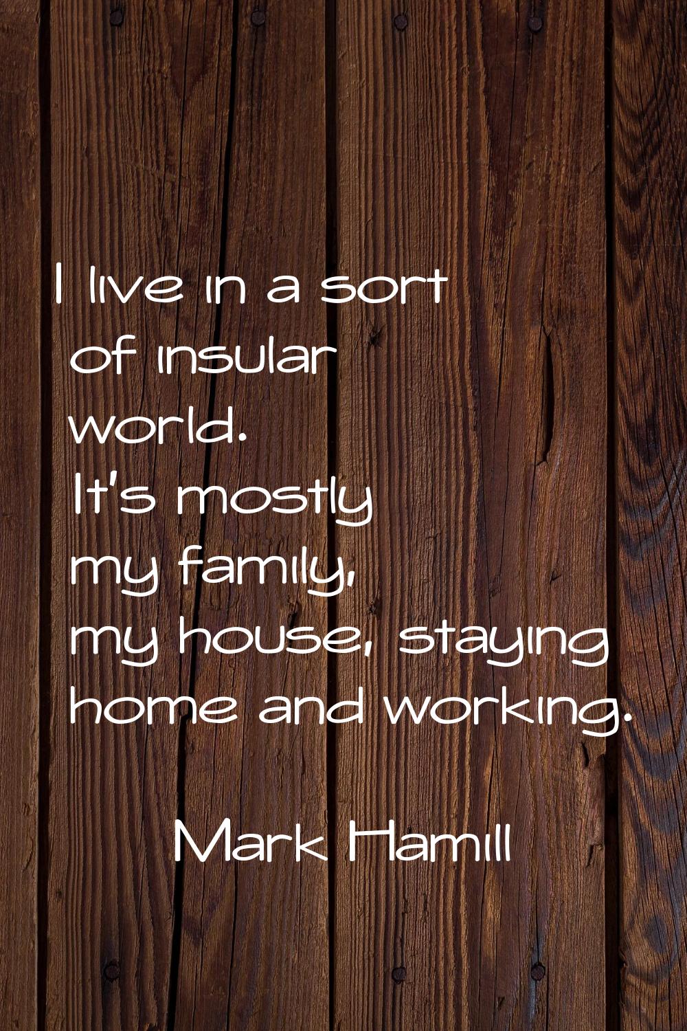 I live in a sort of insular world. It's mostly my family, my house, staying home and working.