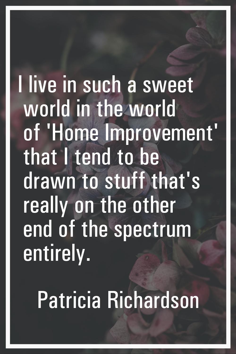 I live in such a sweet world in the world of 'Home Improvement' that I tend to be drawn to stuff th