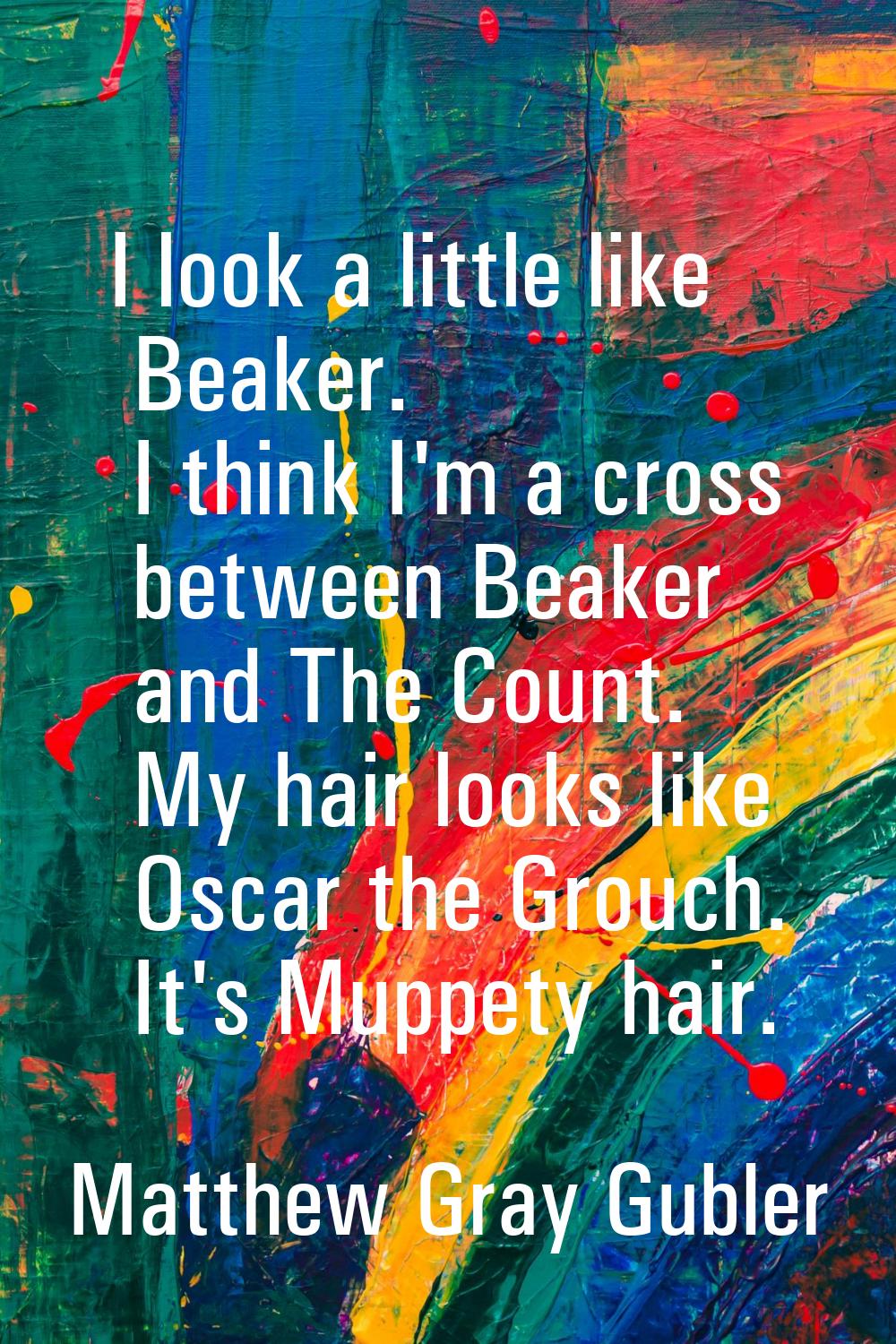 I look a little like Beaker. I think I'm a cross between Beaker and The Count. My hair looks like O