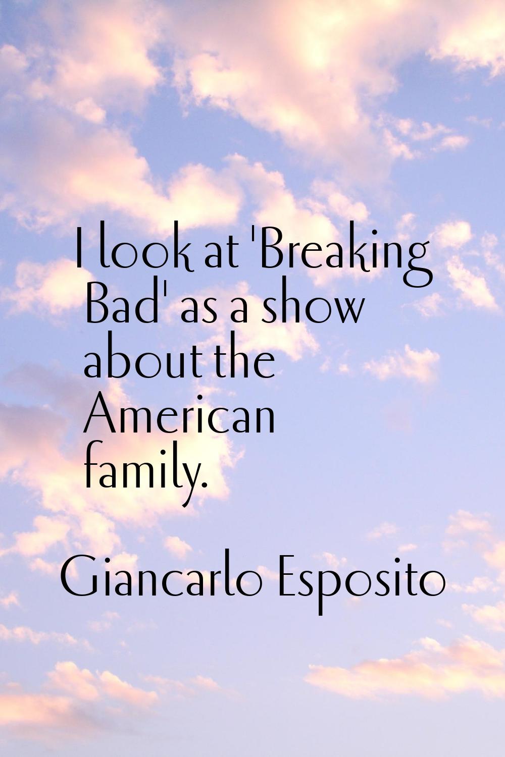 I look at 'Breaking Bad' as a show about the American family.