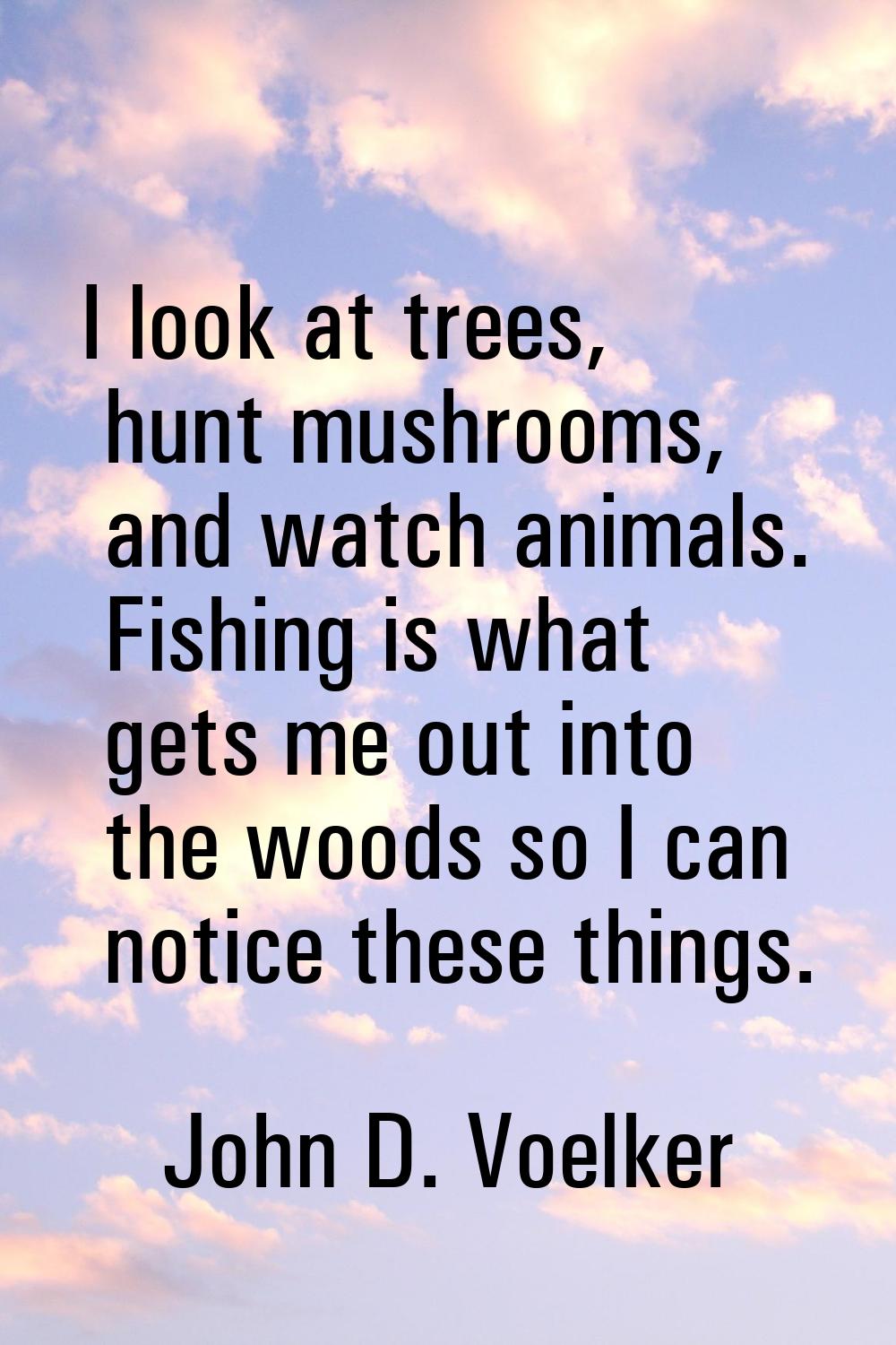 I look at trees, hunt mushrooms, and watch animals. Fishing is what gets me out into the woods so I