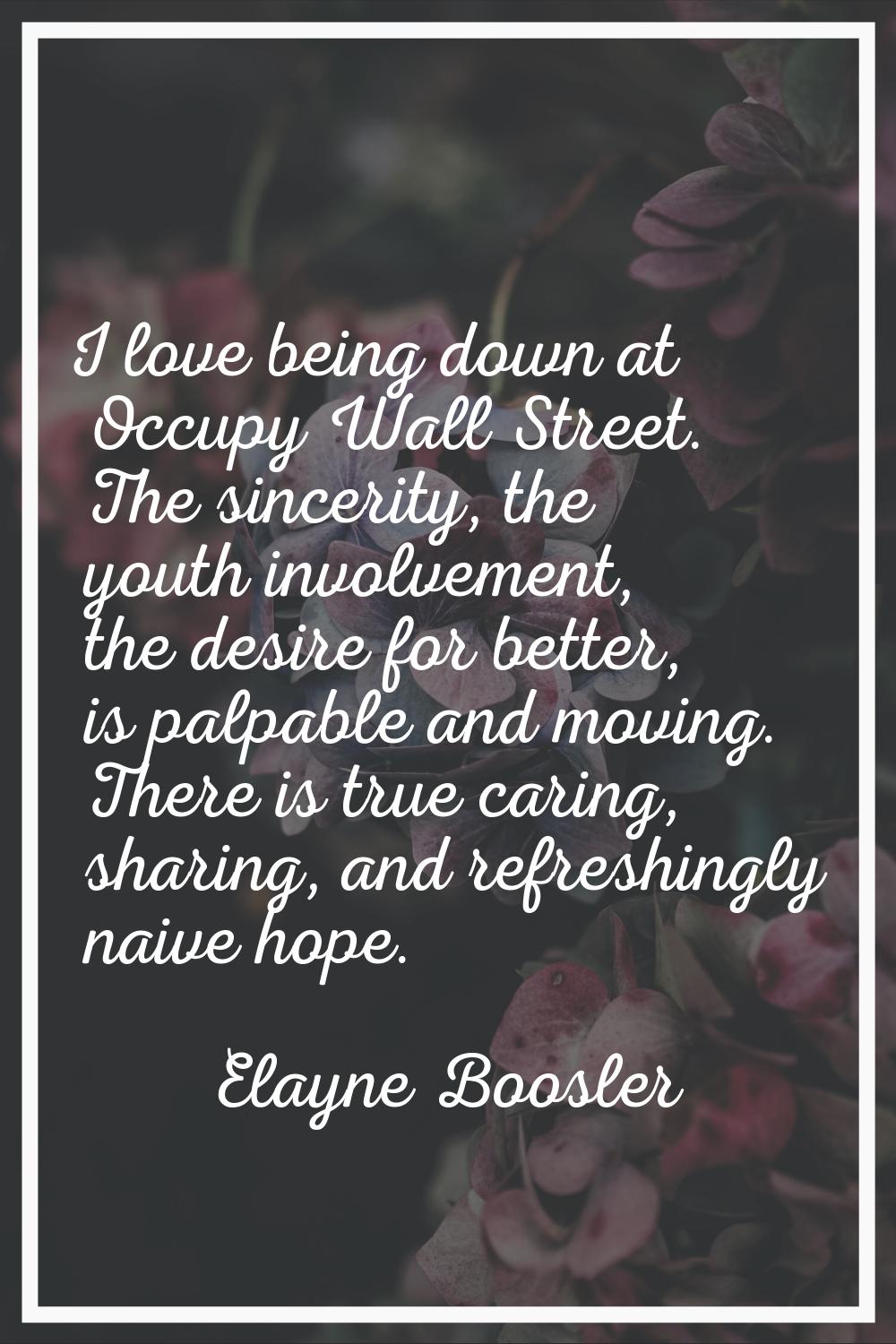 I love being down at Occupy Wall Street. The sincerity, the youth involvement, the desire for bette