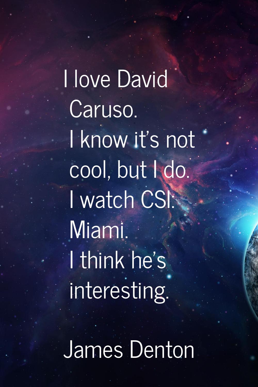 I love David Caruso. I know it's not cool, but I do. I watch CSI: Miami. I think he's interesting.