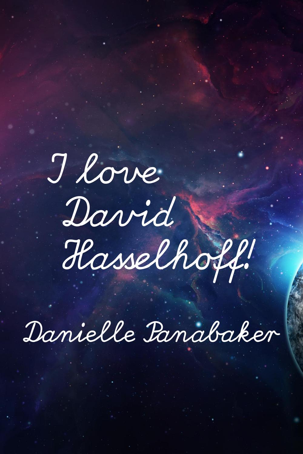 I love David Hasselhoff!