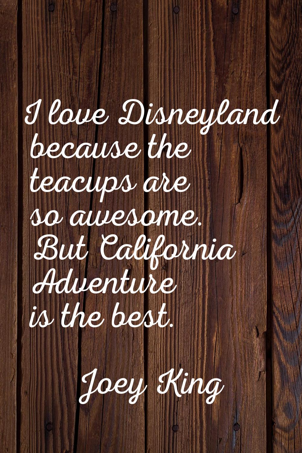 I love Disneyland because the teacups are so awesome. But California Adventure is the best.