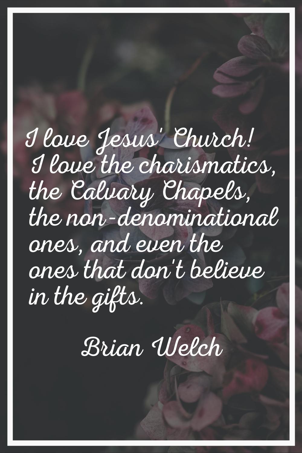 I love Jesus' Church! I love the charismatics, the Calvary Chapels, the non-denominational ones, an
