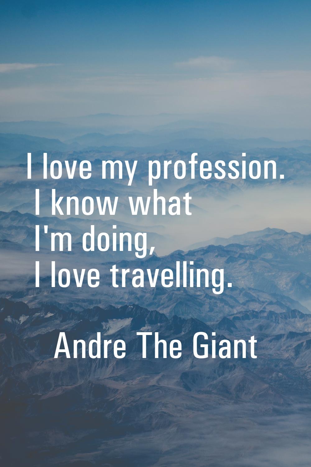 I love my profession. I know what I'm doing, I love travelling.