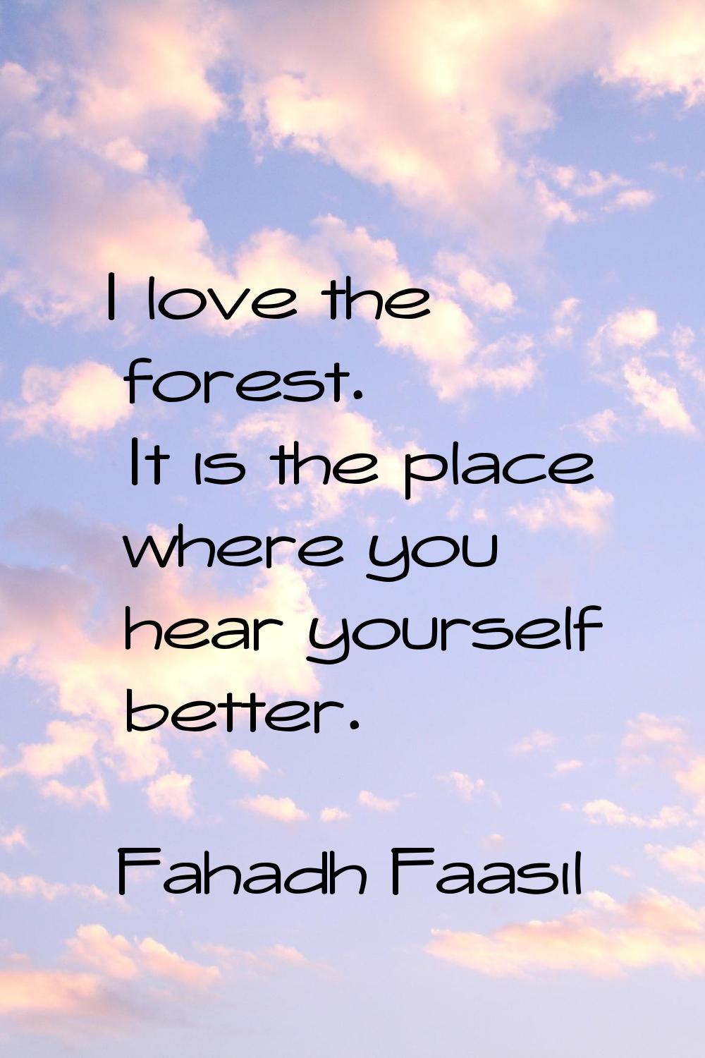 I love the forest. It is the place where you hear yourself better.