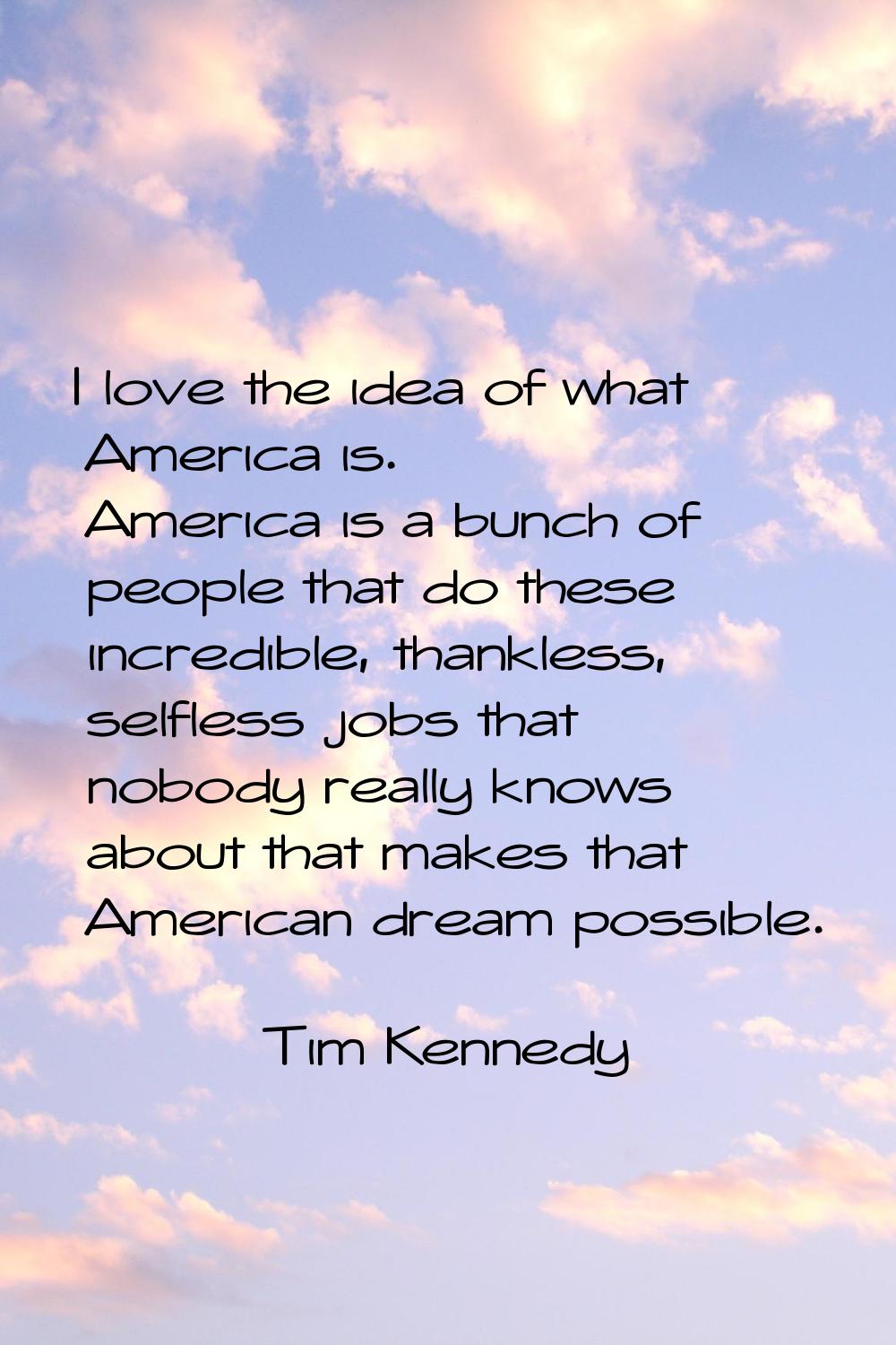 I love the idea of what America is. America is a bunch of people that do these incredible, thankles