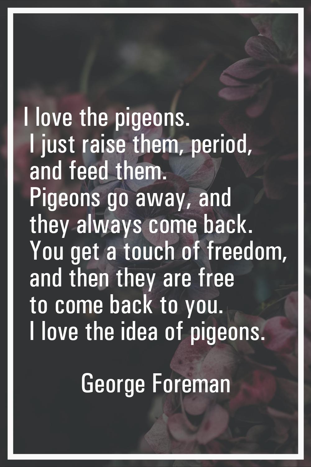I love the pigeons. I just raise them, period, and feed them. Pigeons go away, and they always come