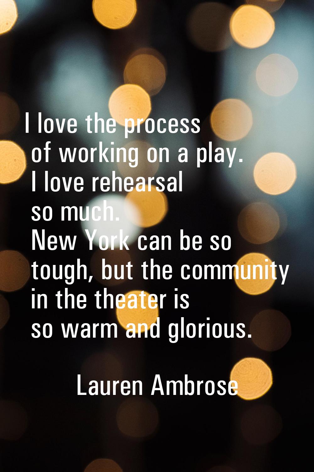 I love the process of working on a play. I love rehearsal so much. New York can be so tough, but th