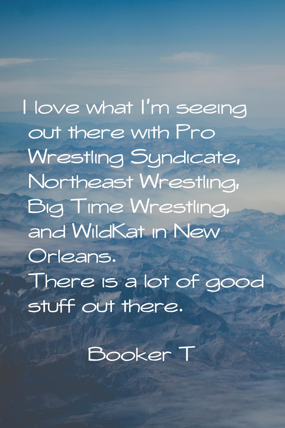 I love what I'm seeing out there with Pro Wrestling Syndicate, Northeast Wrestling, Big Time Wrestl