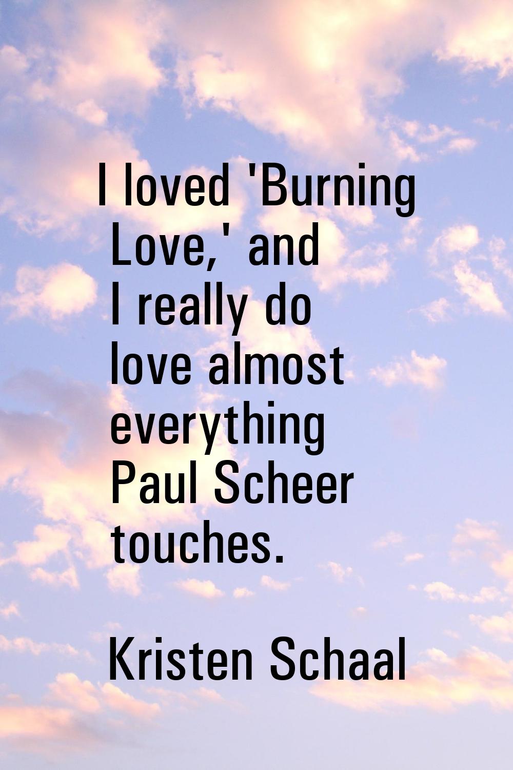 I loved 'Burning Love,' and I really do love almost everything Paul Scheer touches.