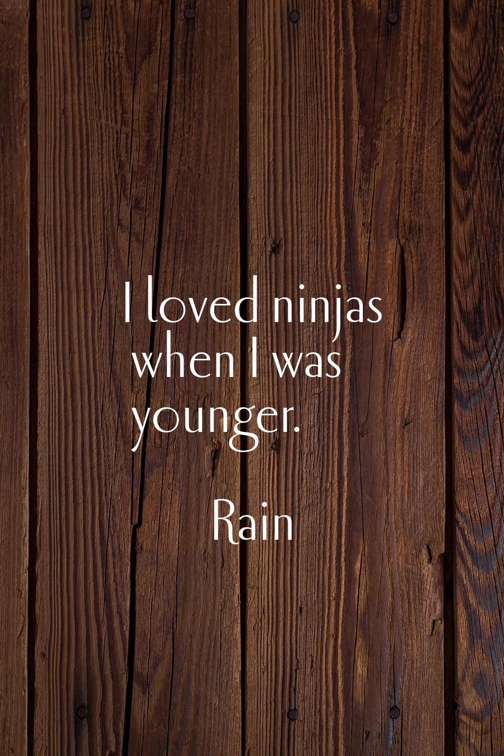 I loved ninjas when I was younger.