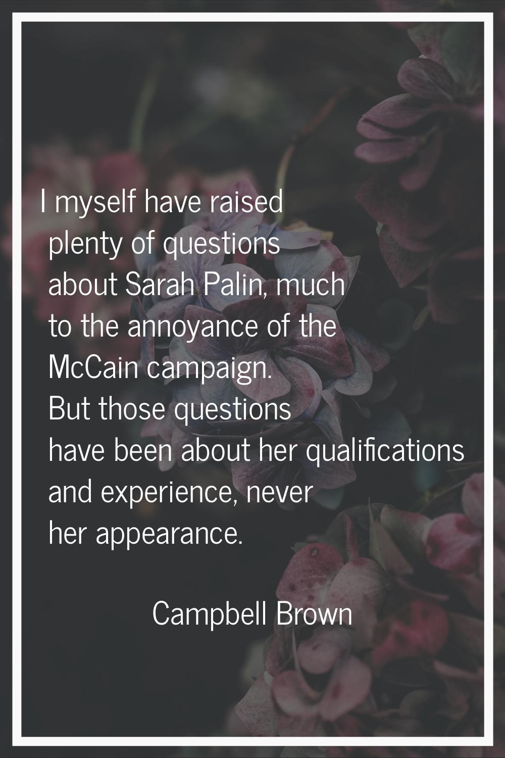 I myself have raised plenty of questions about Sarah Palin, much to the annoyance of the McCain cam