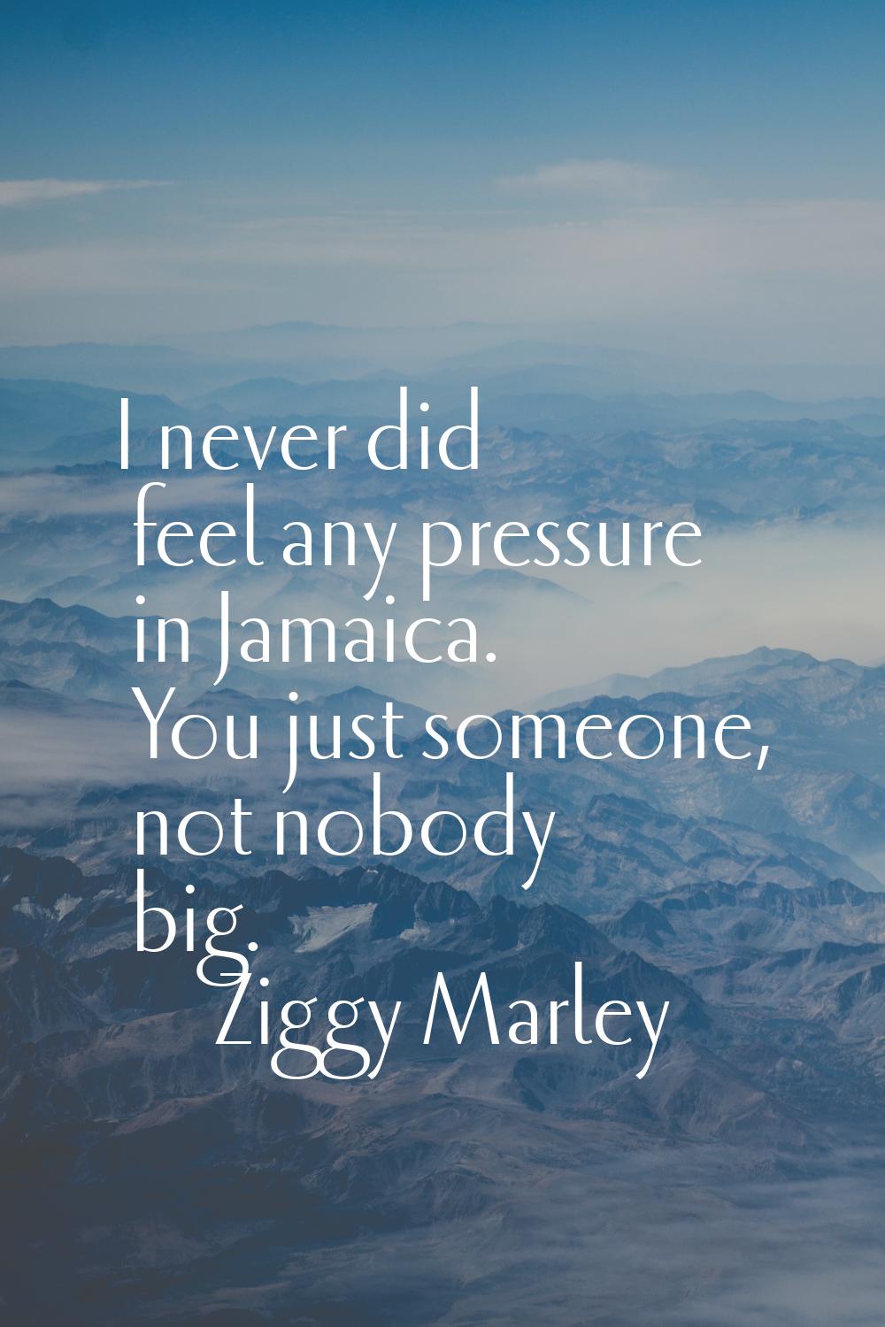 I never did feel any pressure in Jamaica. You just someone, not nobody big.