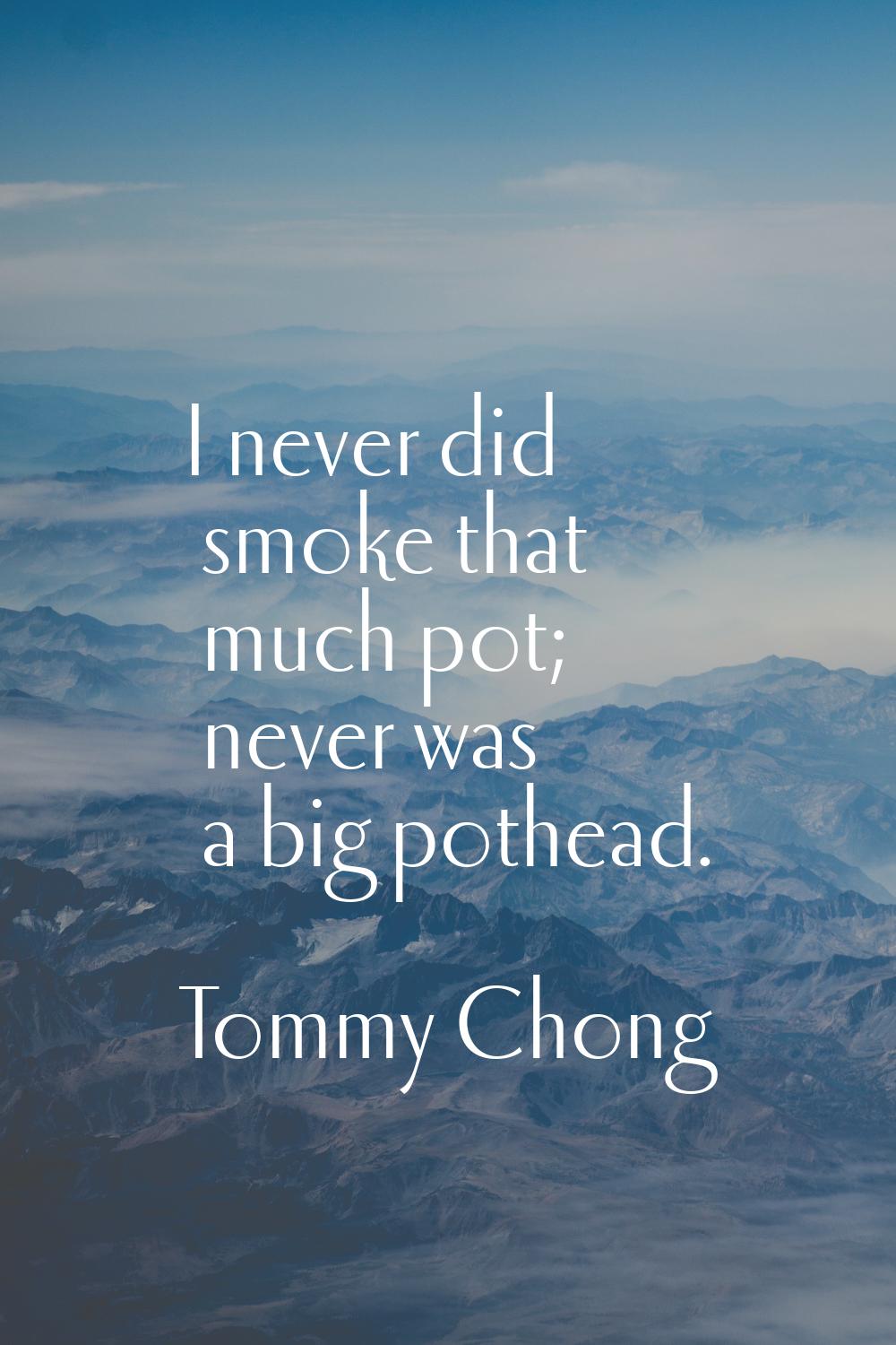 I never did smoke that much pot; never was a big pothead.