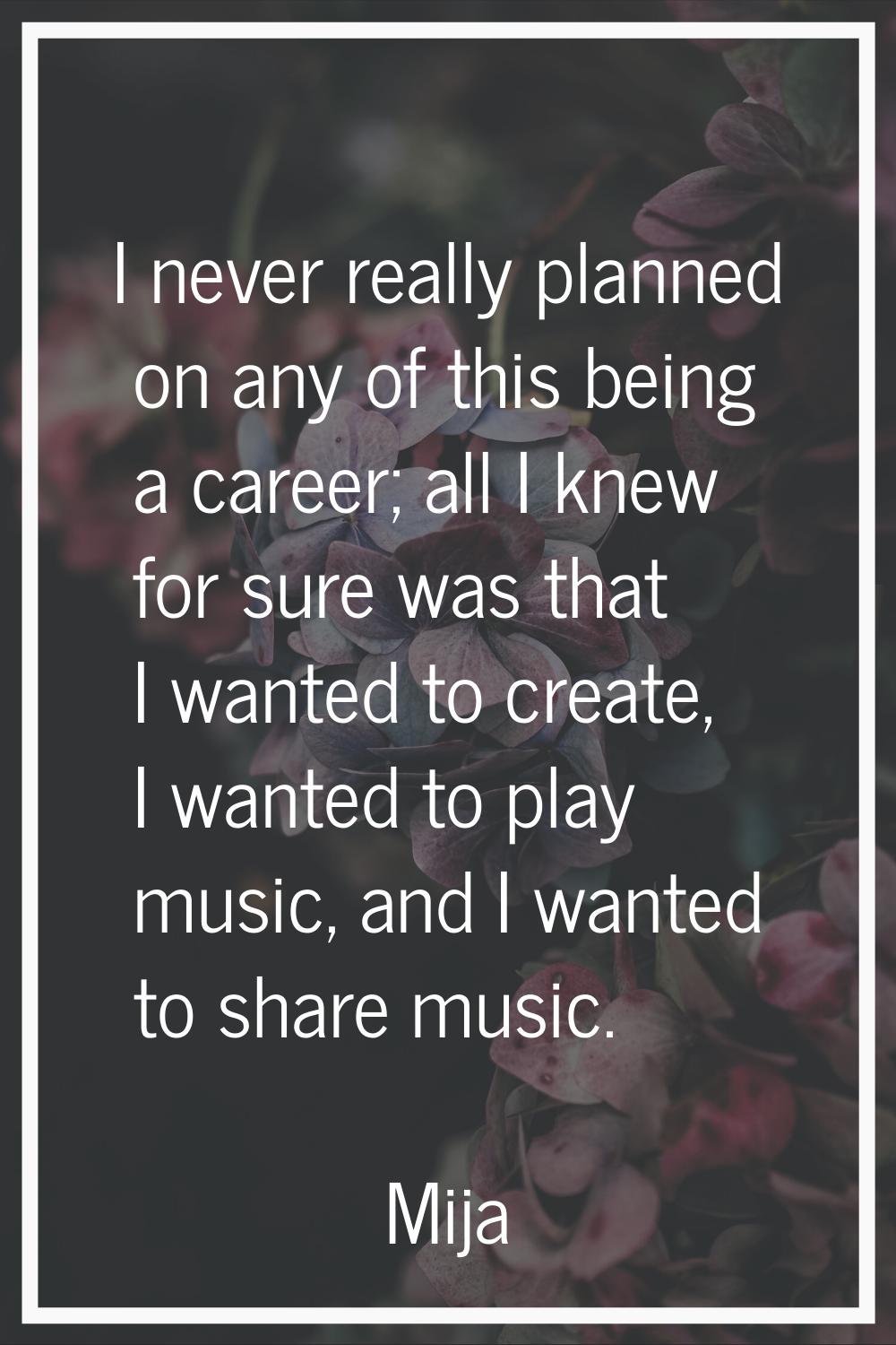 I never really planned on any of this being a career; all I knew for sure was that I wanted to crea