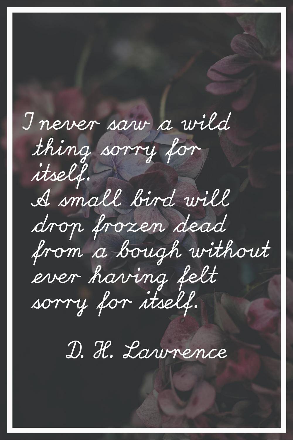 I never saw a wild thing sorry for itself. A small bird will drop frozen dead from a bough without 