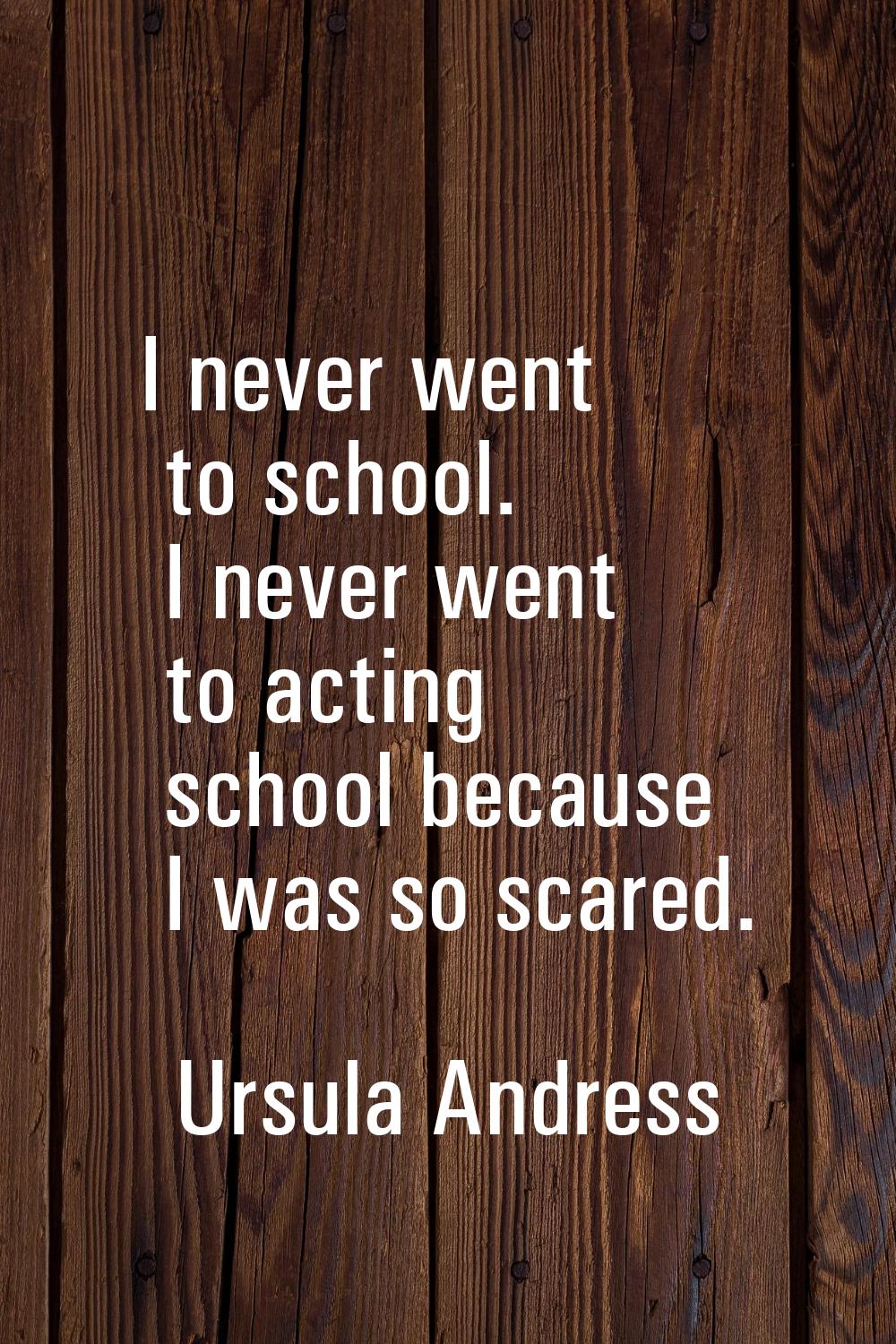 I never went to school. I never went to acting school because I was so scared.