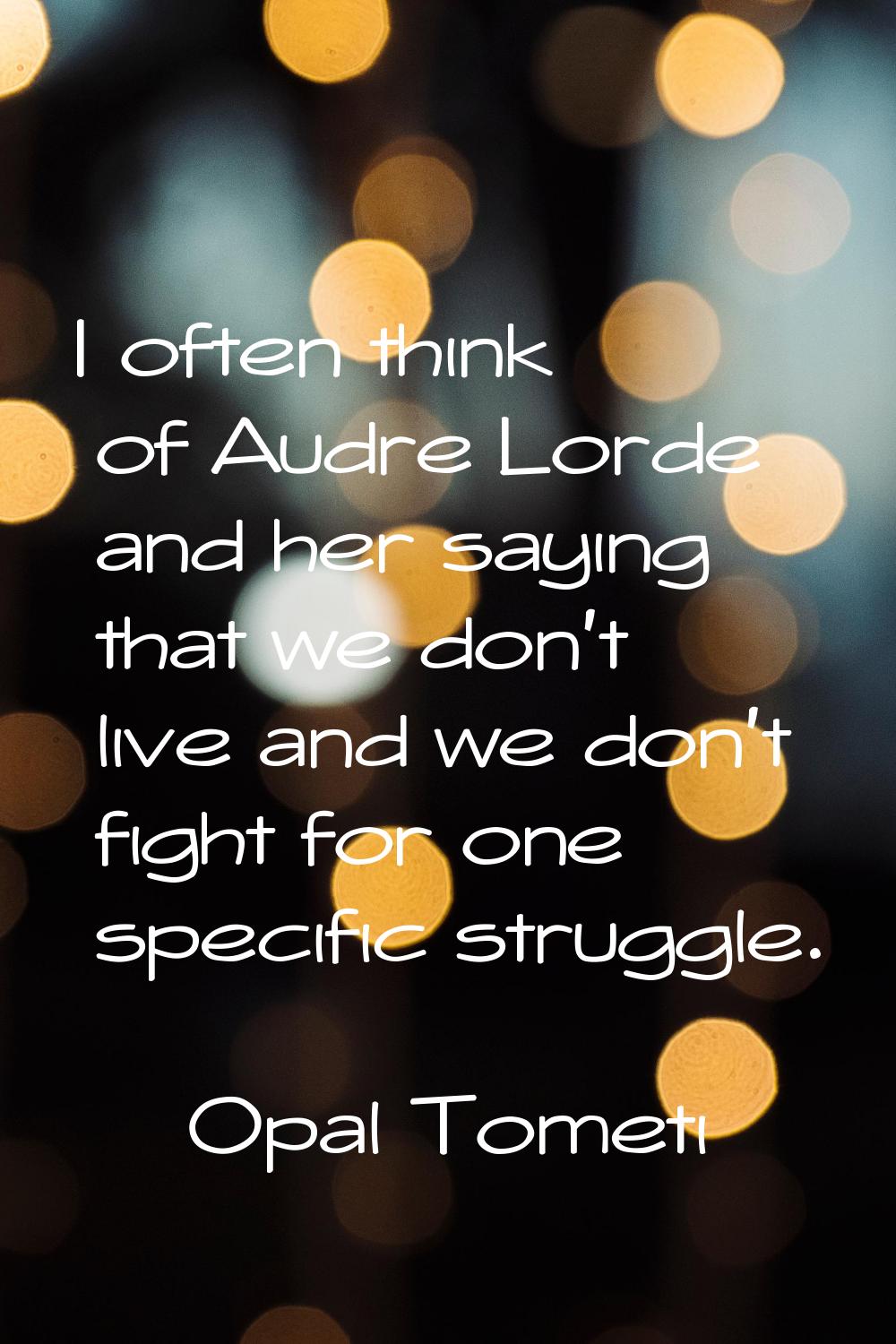 I often think of Audre Lorde and her saying that we don't live and we don't fight for one specific 