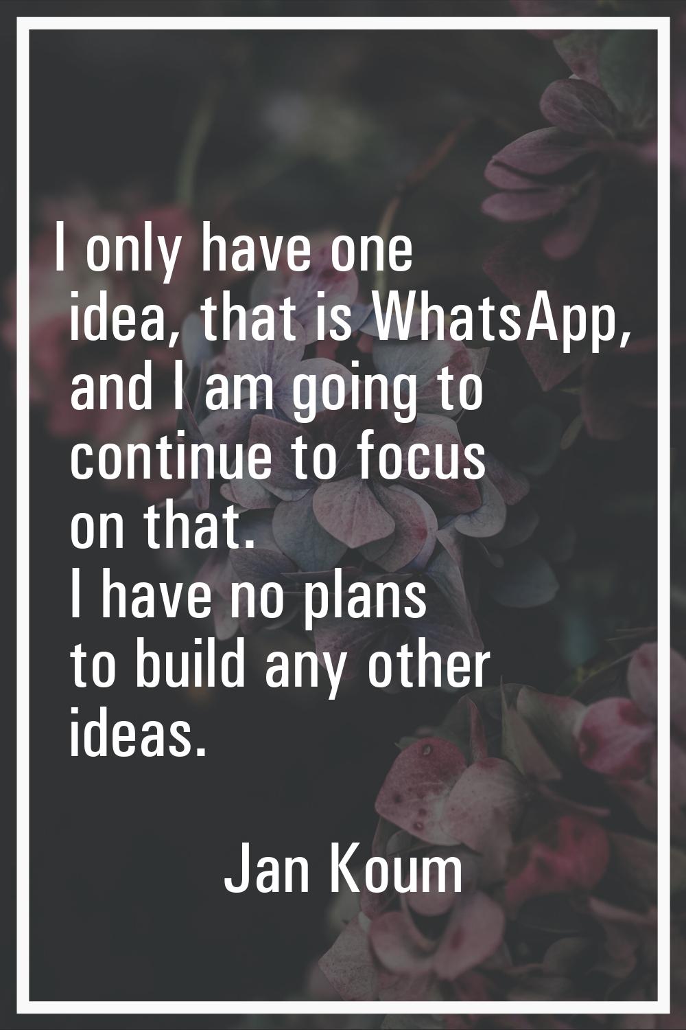 I only have one idea, that is WhatsApp, and I am going to continue to focus on that. I have no plan