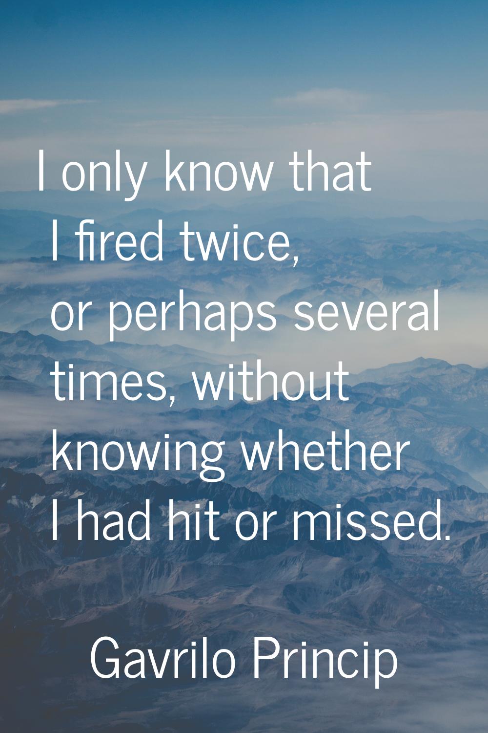 I only know that I fired twice, or perhaps several times, without knowing whether I had hit or miss