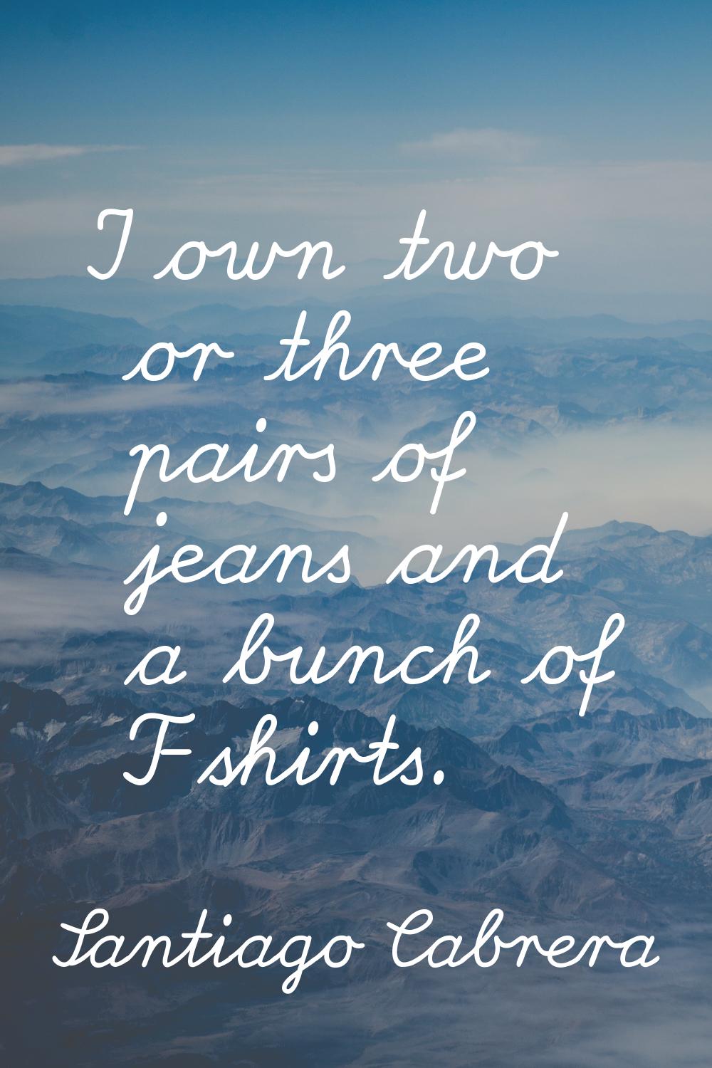I own two or three pairs of jeans and a bunch of T-shirts.
