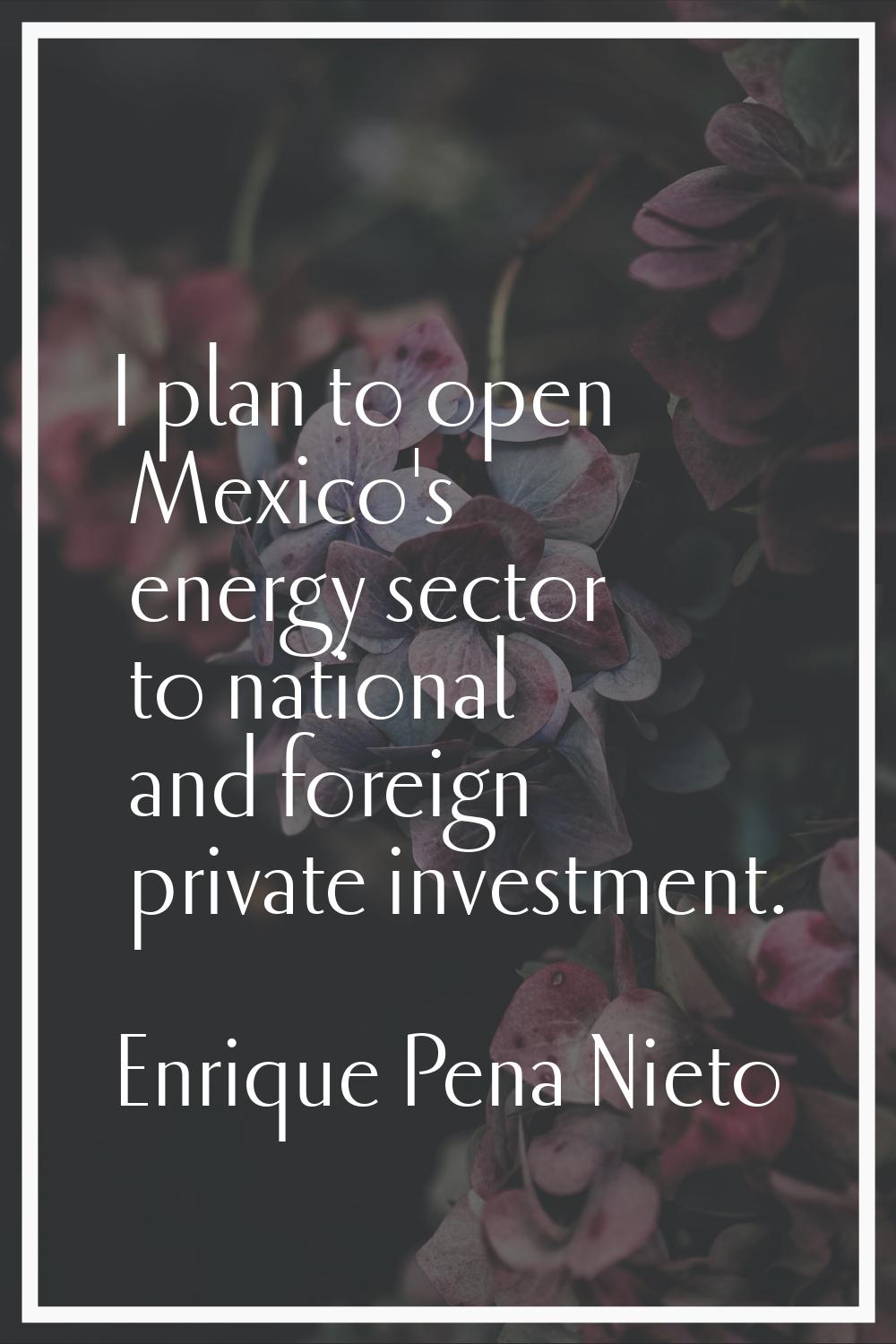 I plan to open Mexico's energy sector to national and foreign private investment.