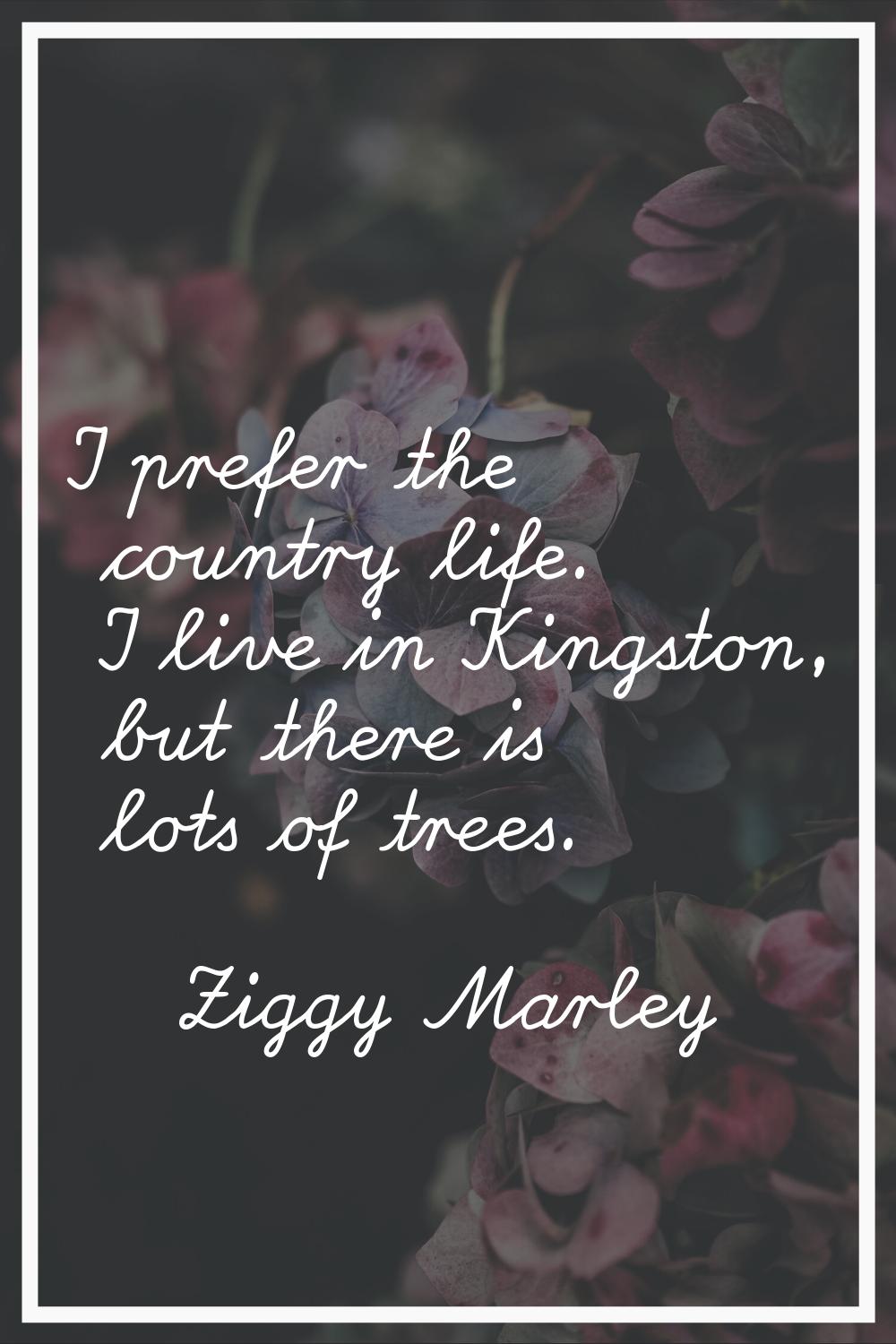 I prefer the country life. I live in Kingston, but there is lots of trees.