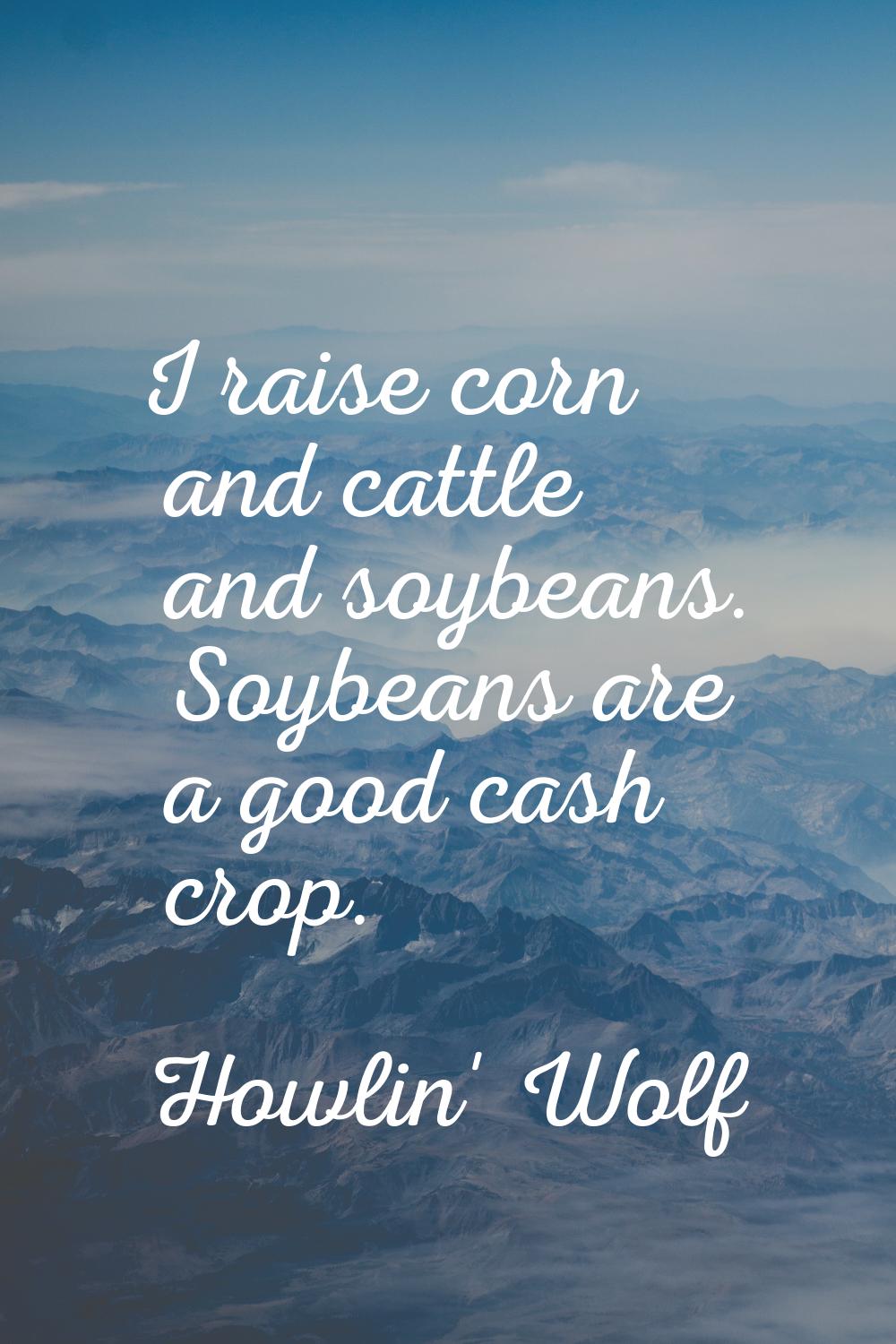 I raise corn and cattle and soybeans. Soybeans are a good cash crop.