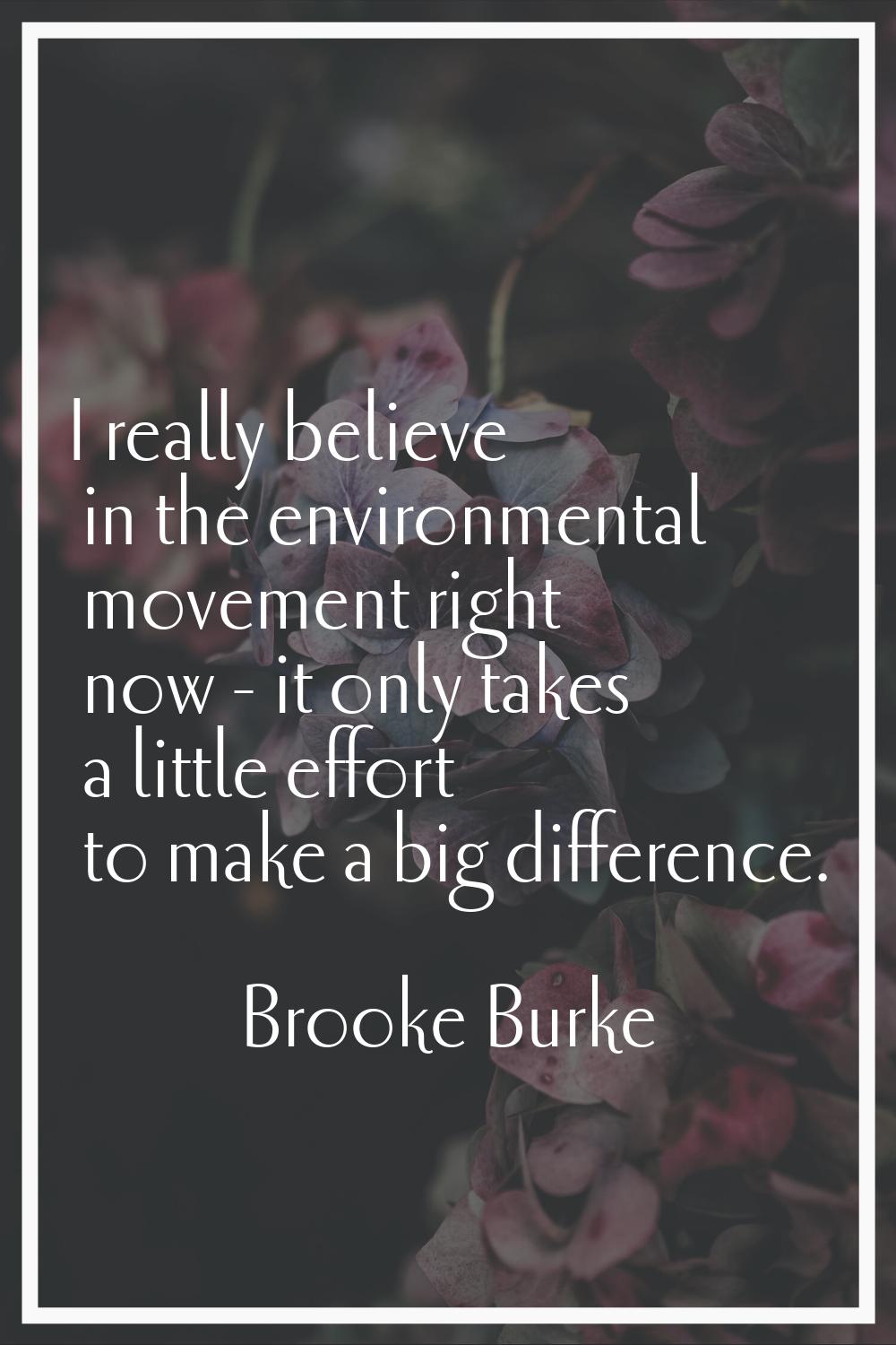 I really believe in the environmental movement right now - it only takes a little effort to make a 