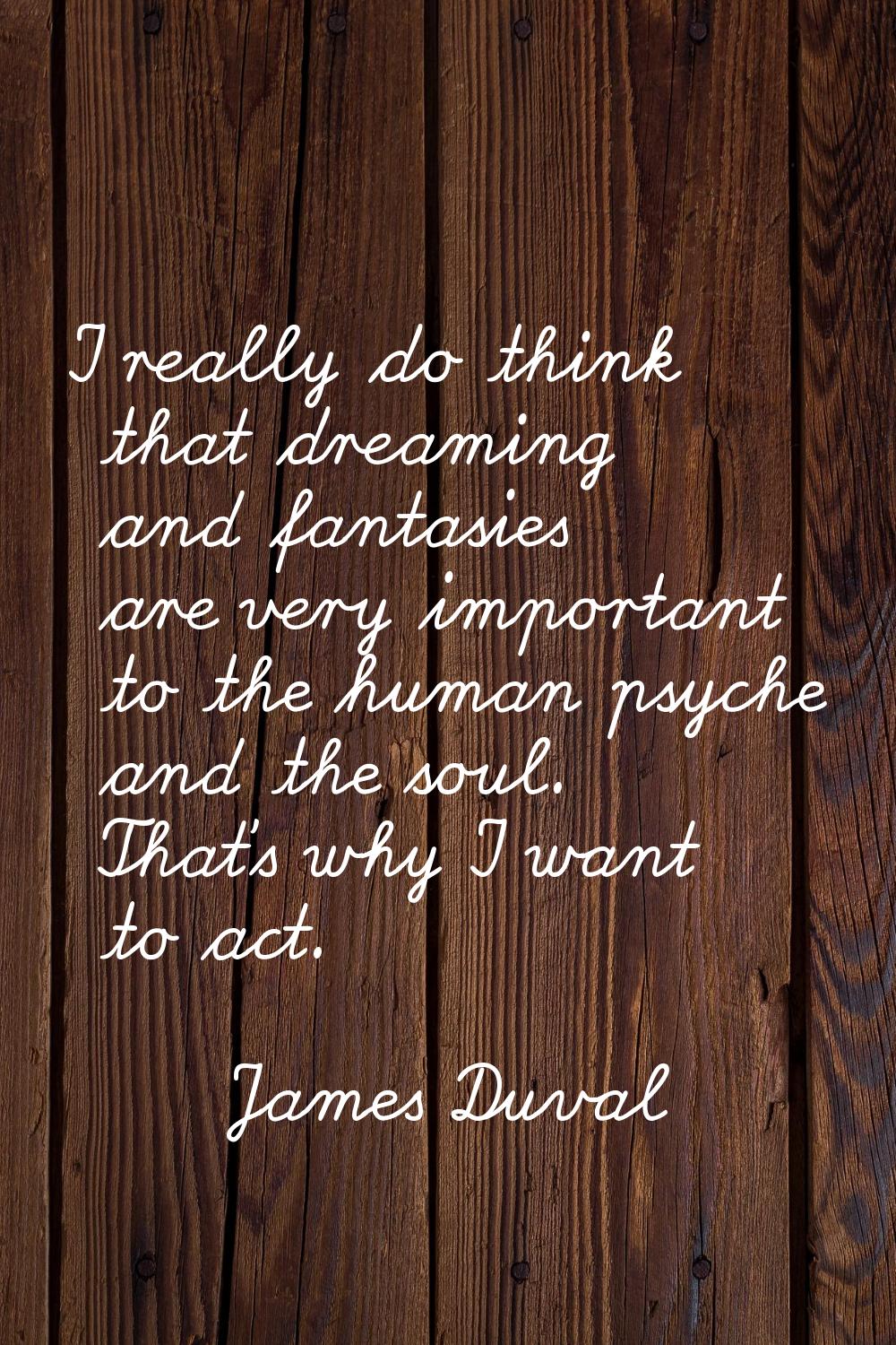 I really do think that dreaming and fantasies are very important to the human psyche and the soul. 