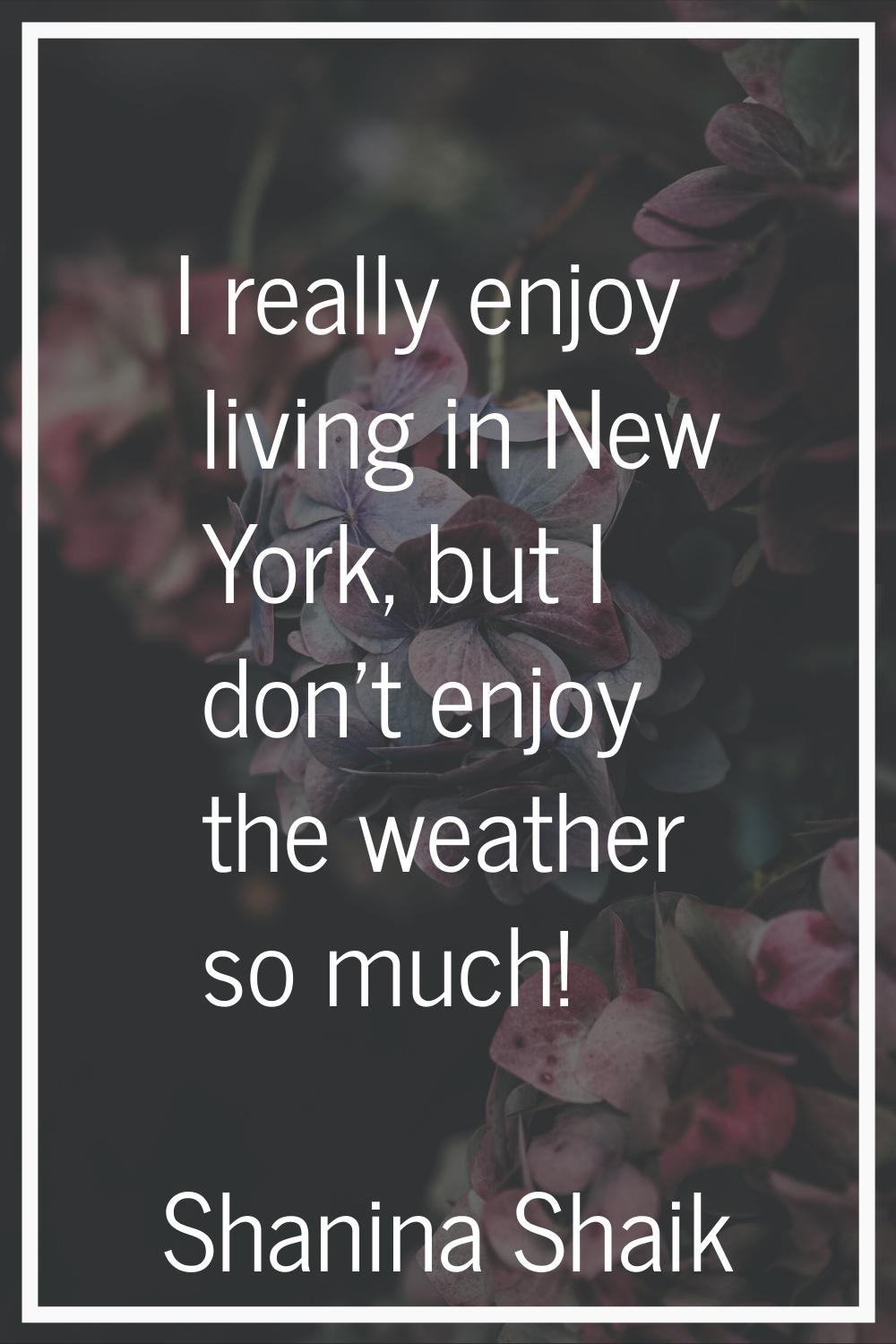 I really enjoy living in New York, but I don't enjoy the weather so much!