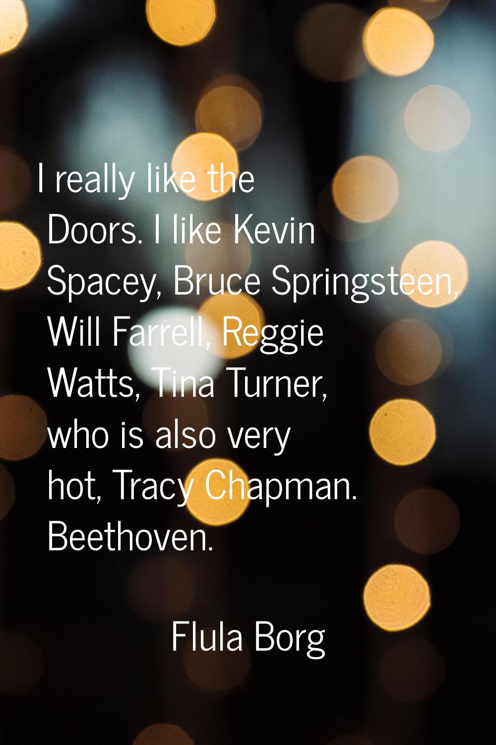 I really like the Doors. I like Kevin Spacey, Bruce Springsteen, Will Farrell, Reggie Watts, Tina T