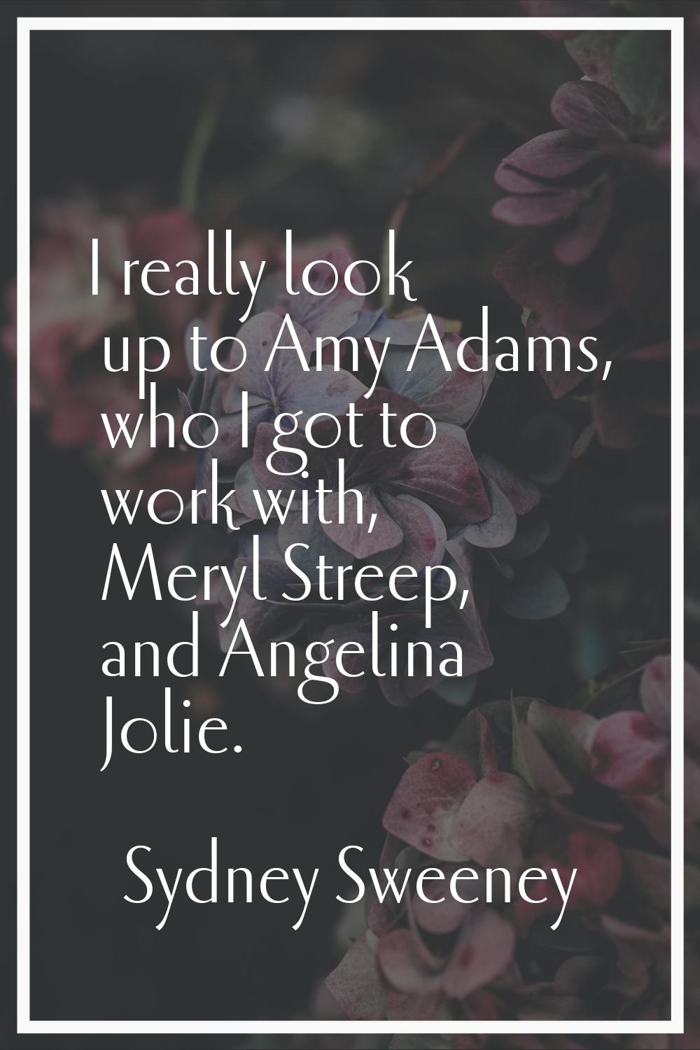 I really look up to Amy Adams, who I got to work with, Meryl Streep, and Angelina Jolie.