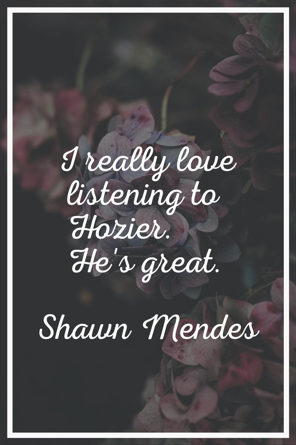 I really love listening to Hozier. He's great.