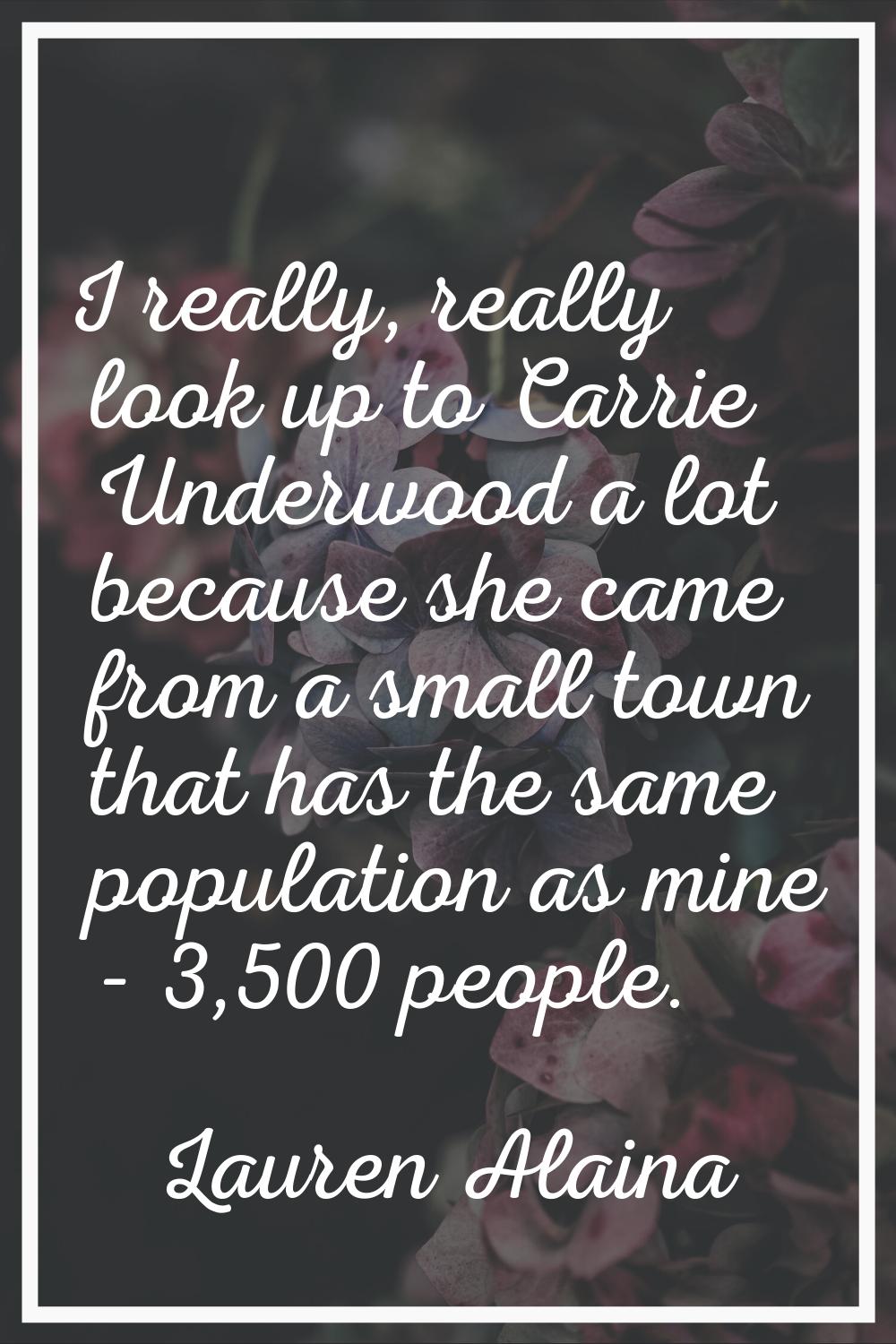 I really, really look up to Carrie Underwood a lot because she came from a small town that has the 