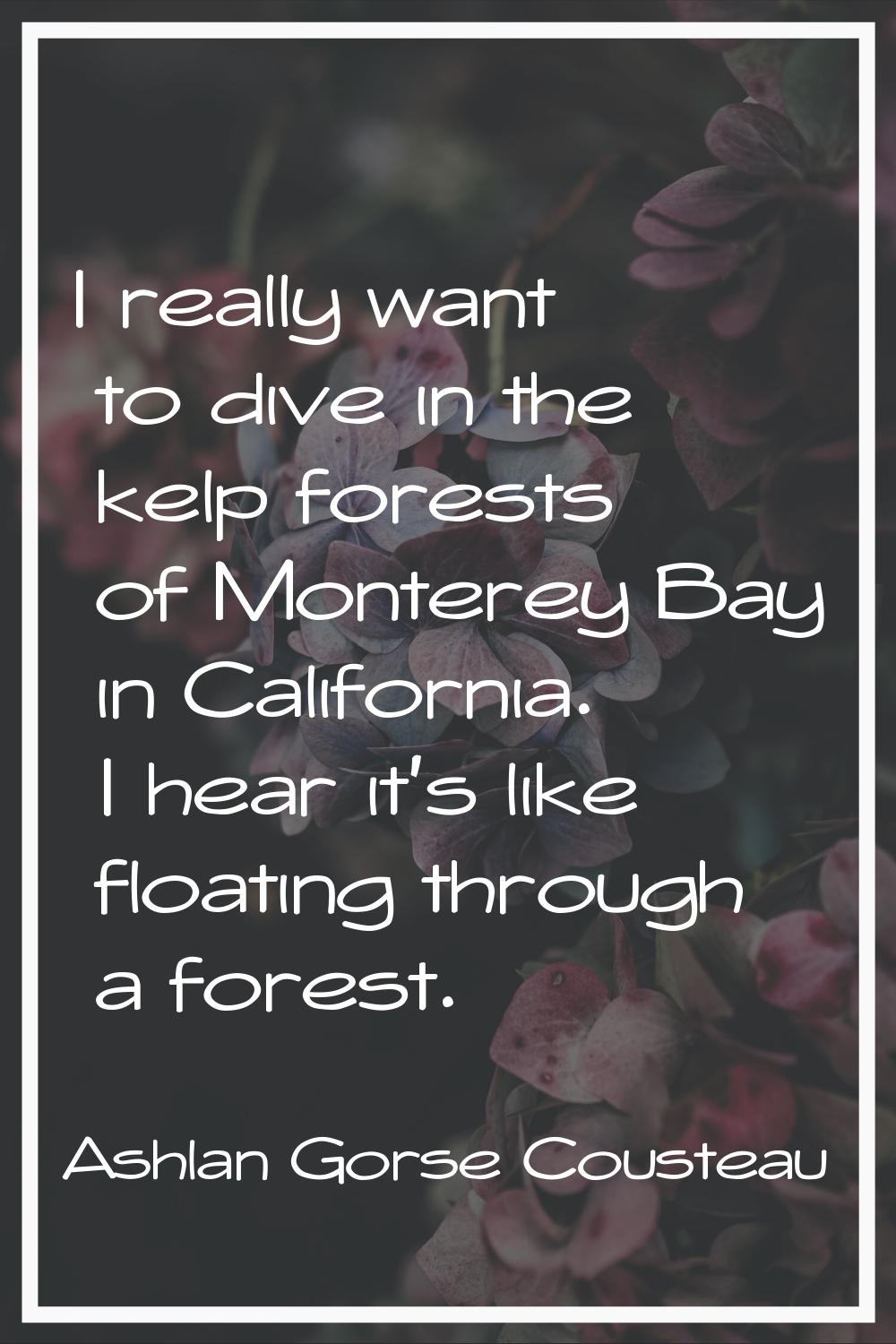 I really want to dive in the kelp forests of Monterey Bay in California. I hear it's like floating 