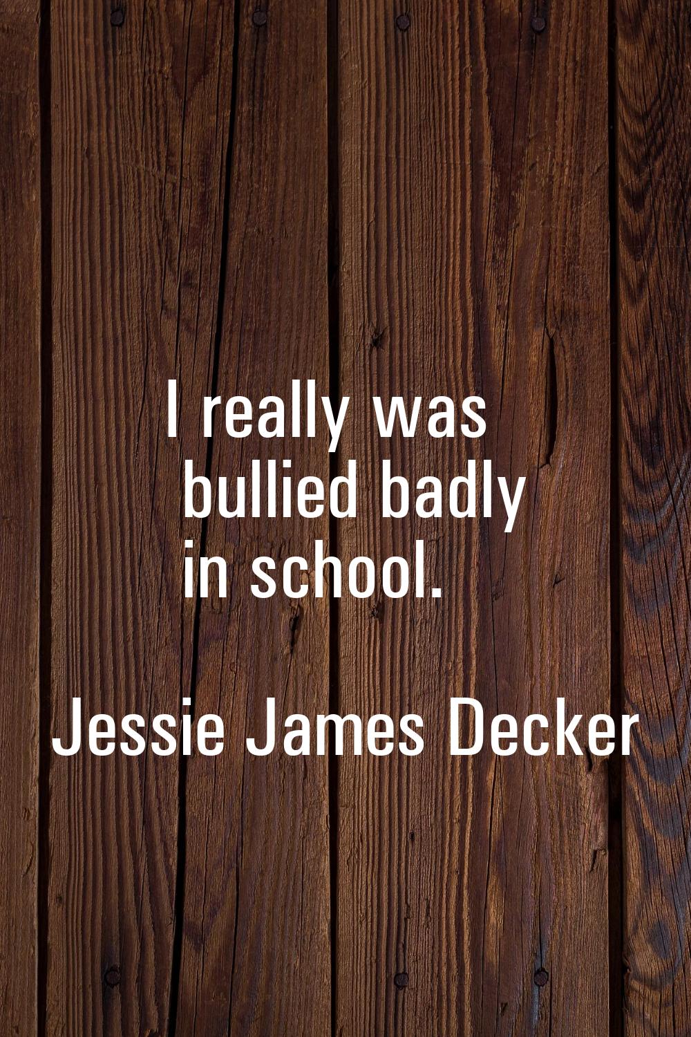 I really was bullied badly in school.