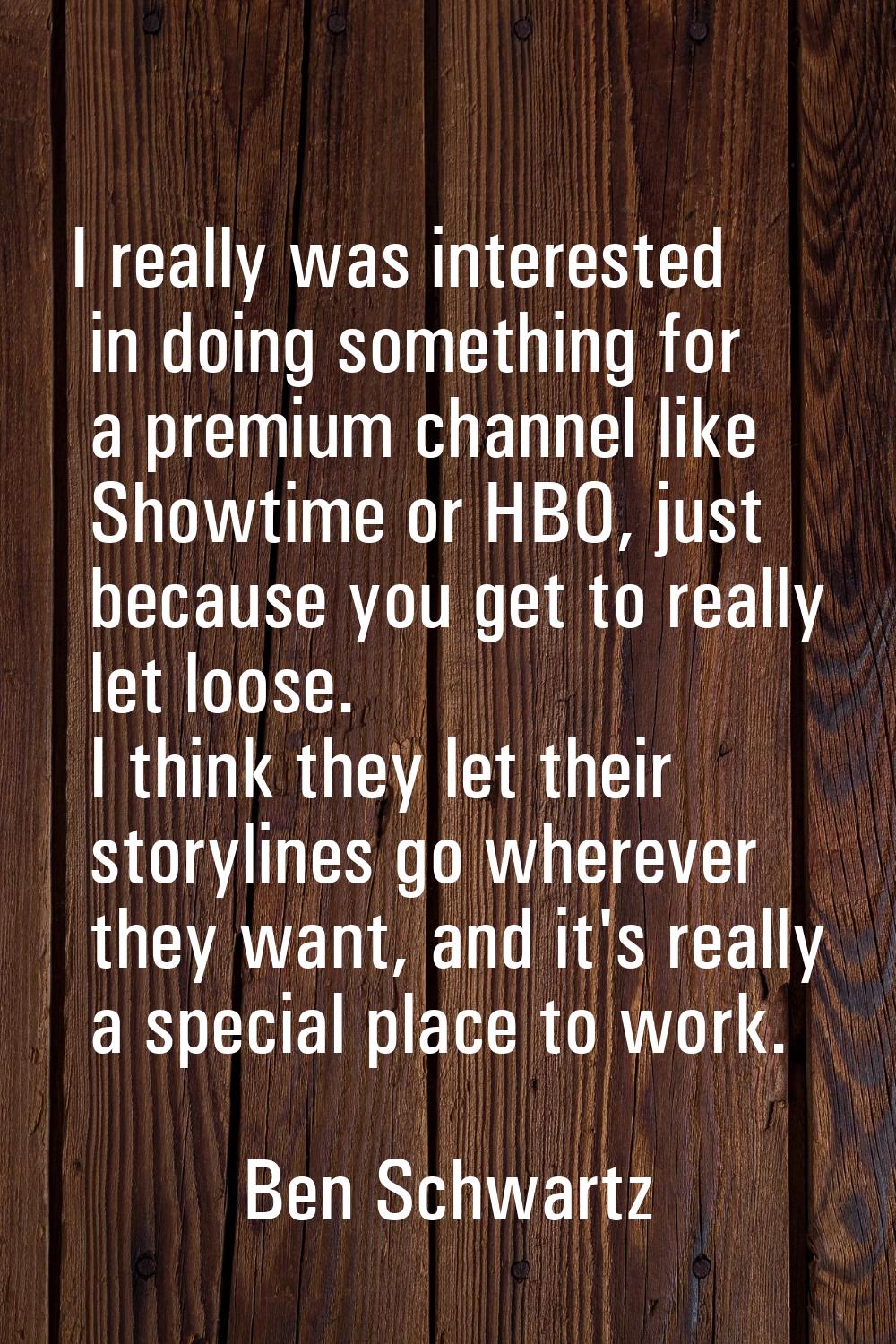 I really was interested in doing something for a premium channel like Showtime or HBO, just because