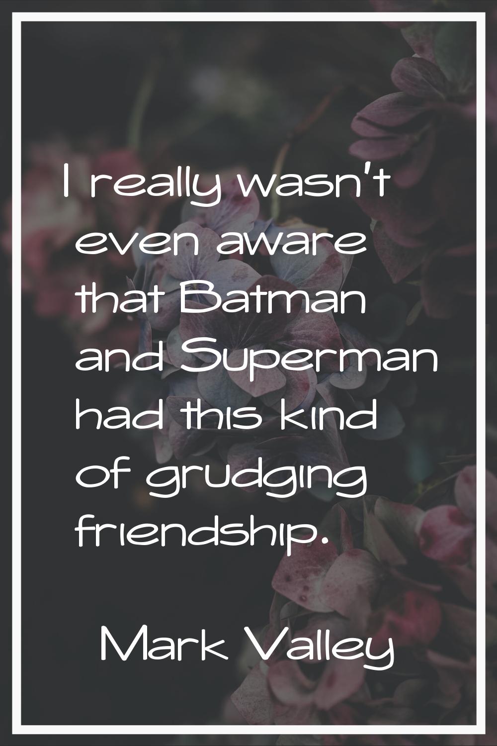 I really wasn't even aware that Batman and Superman had this kind of grudging friendship.