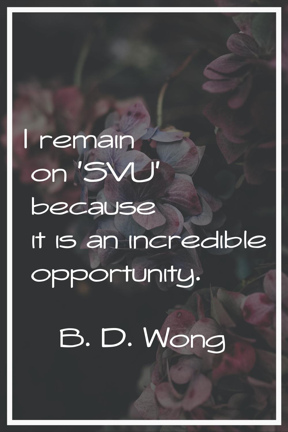 I remain on 'SVU' because it is an incredible opportunity.
