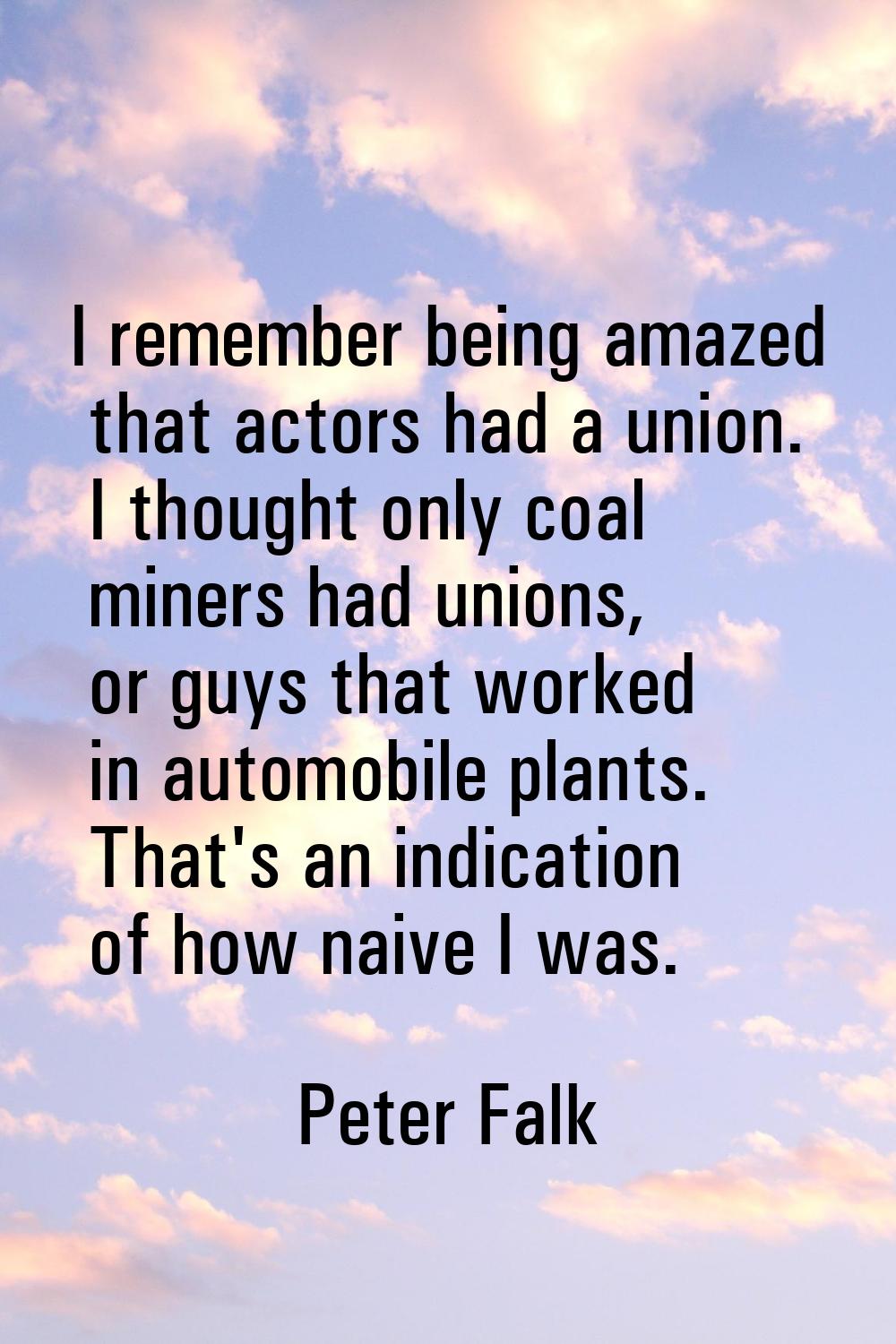 I remember being amazed that actors had a union. I thought only coal miners had unions, or guys tha