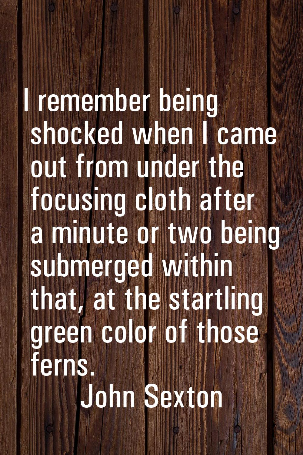 I remember being shocked when I came out from under the focusing cloth after a minute or two being 